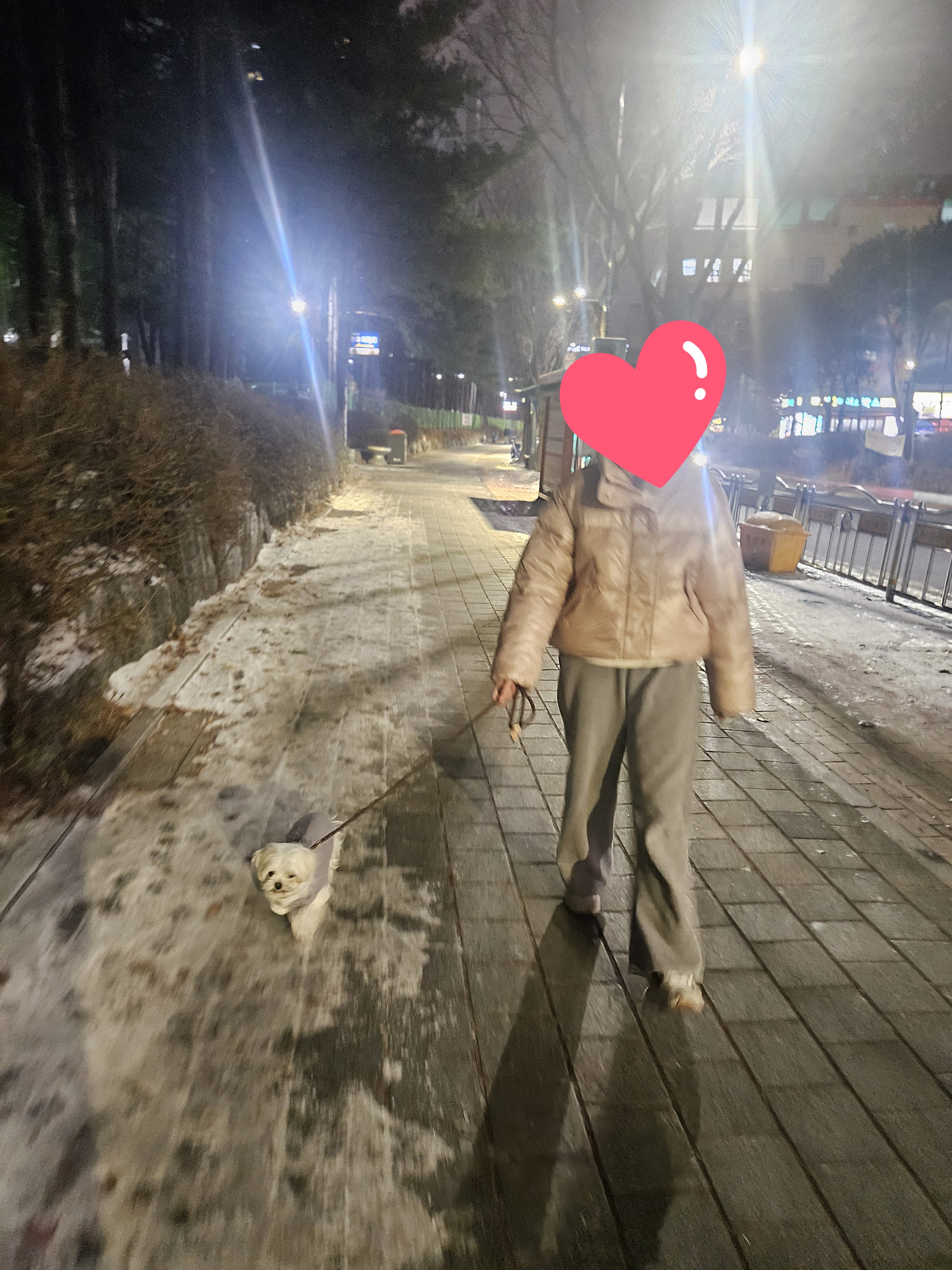 조리 임보 7일차