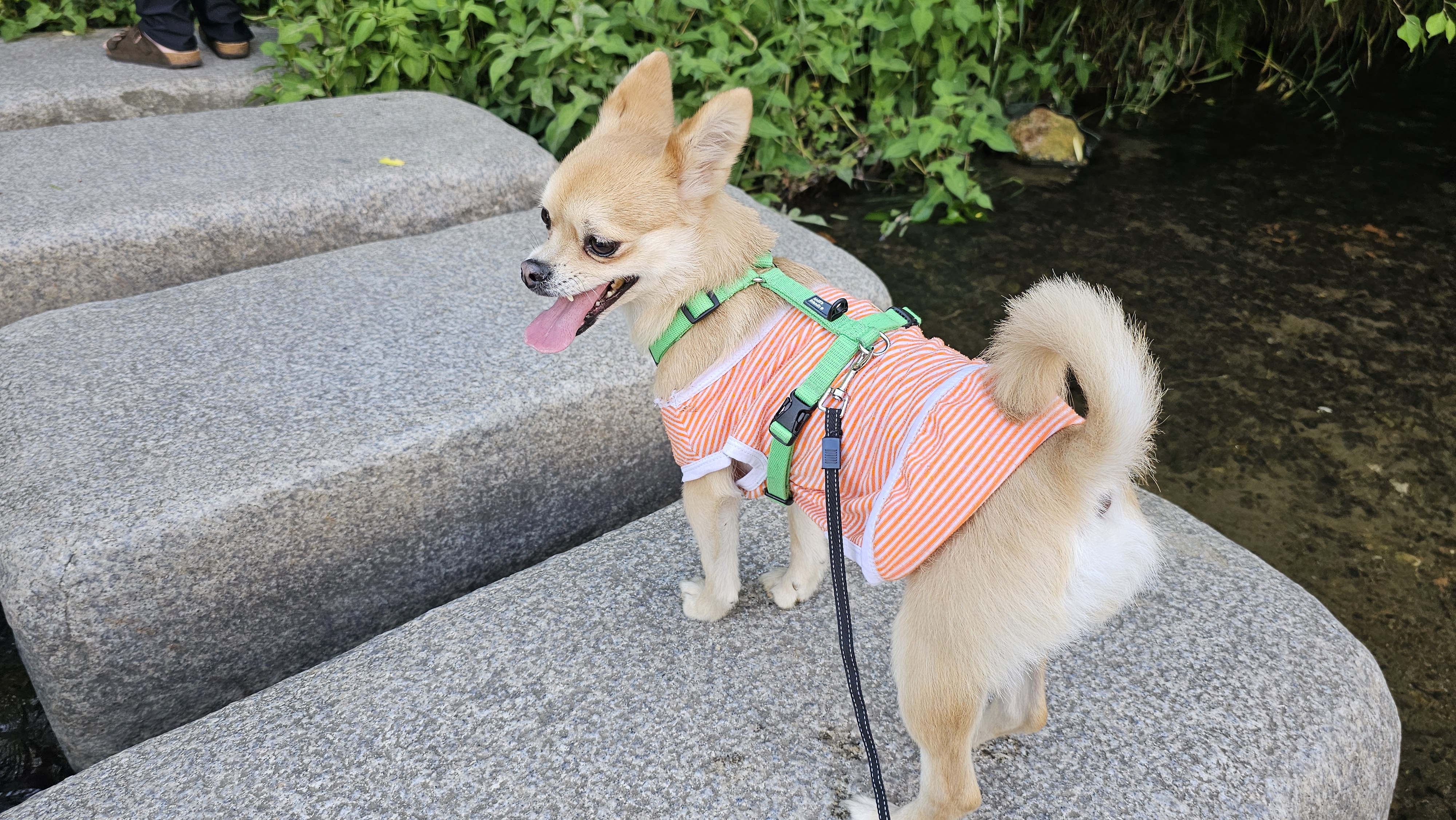 미로(구 오원) 3년 이야기