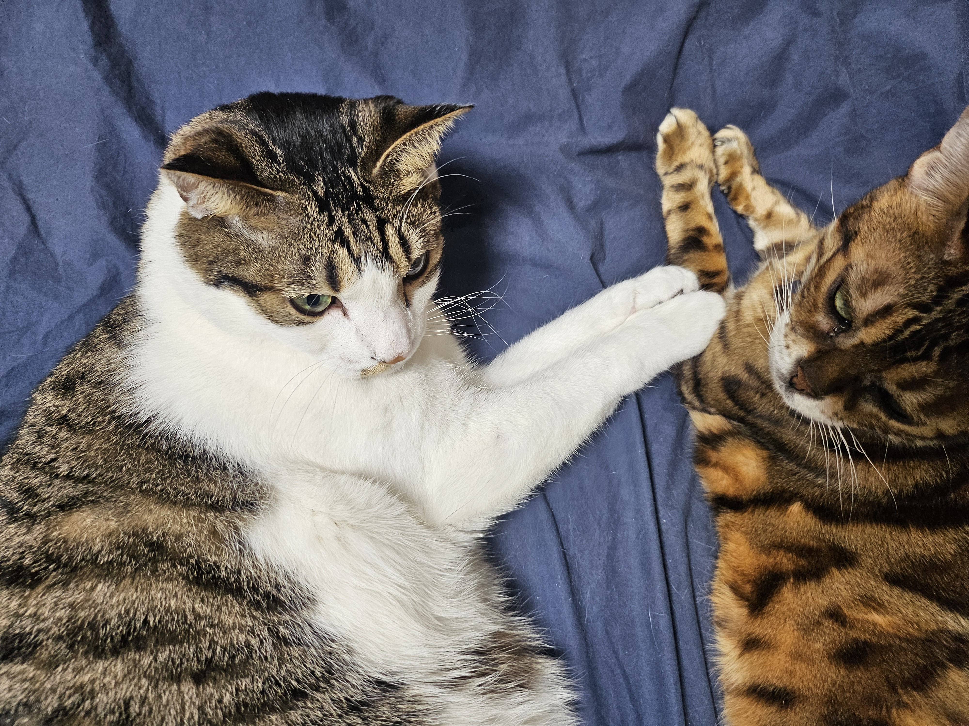 탄이와 또 새로운 2026년으로 (구.해성)