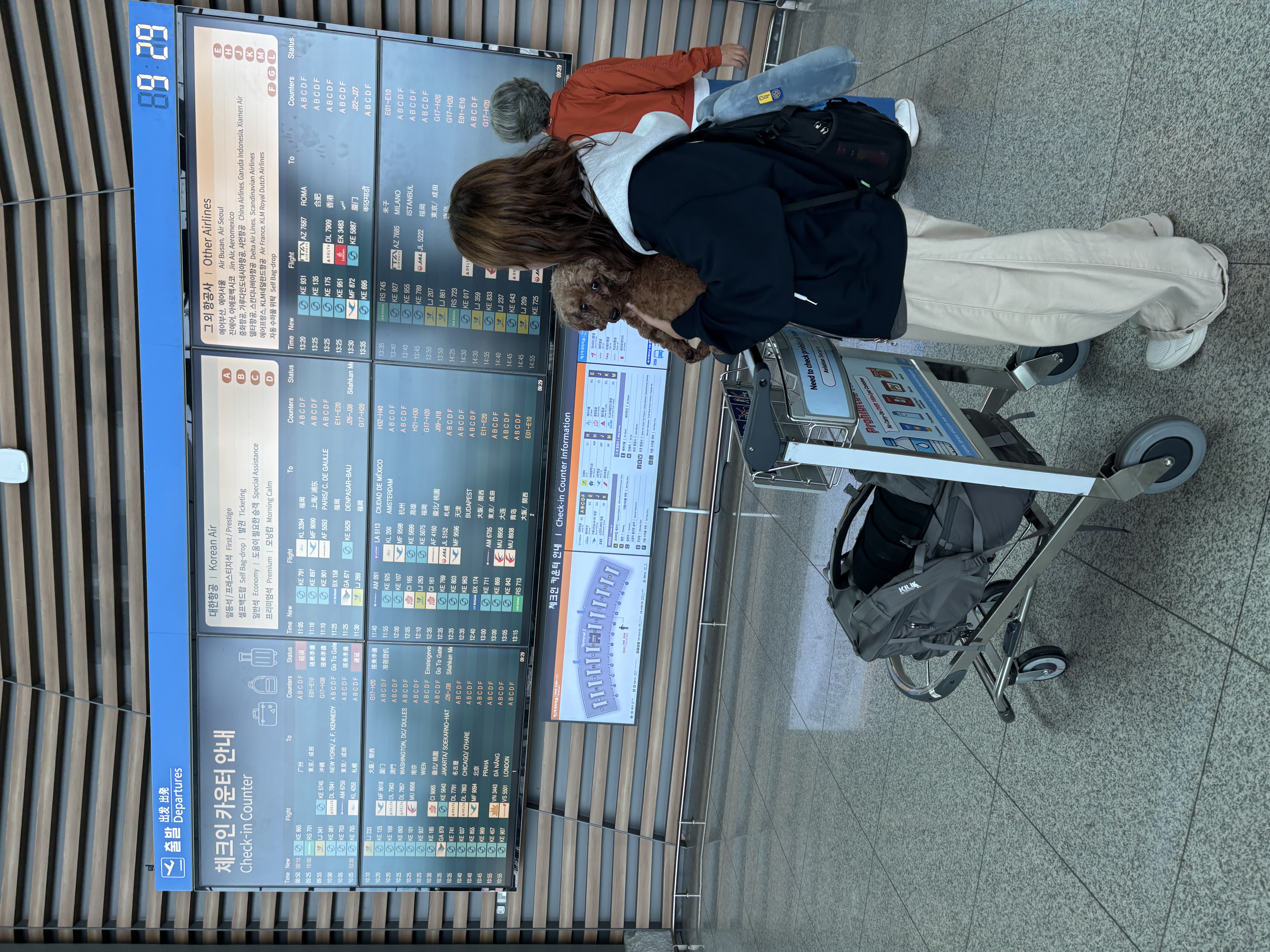 보사의 3개월 후기 