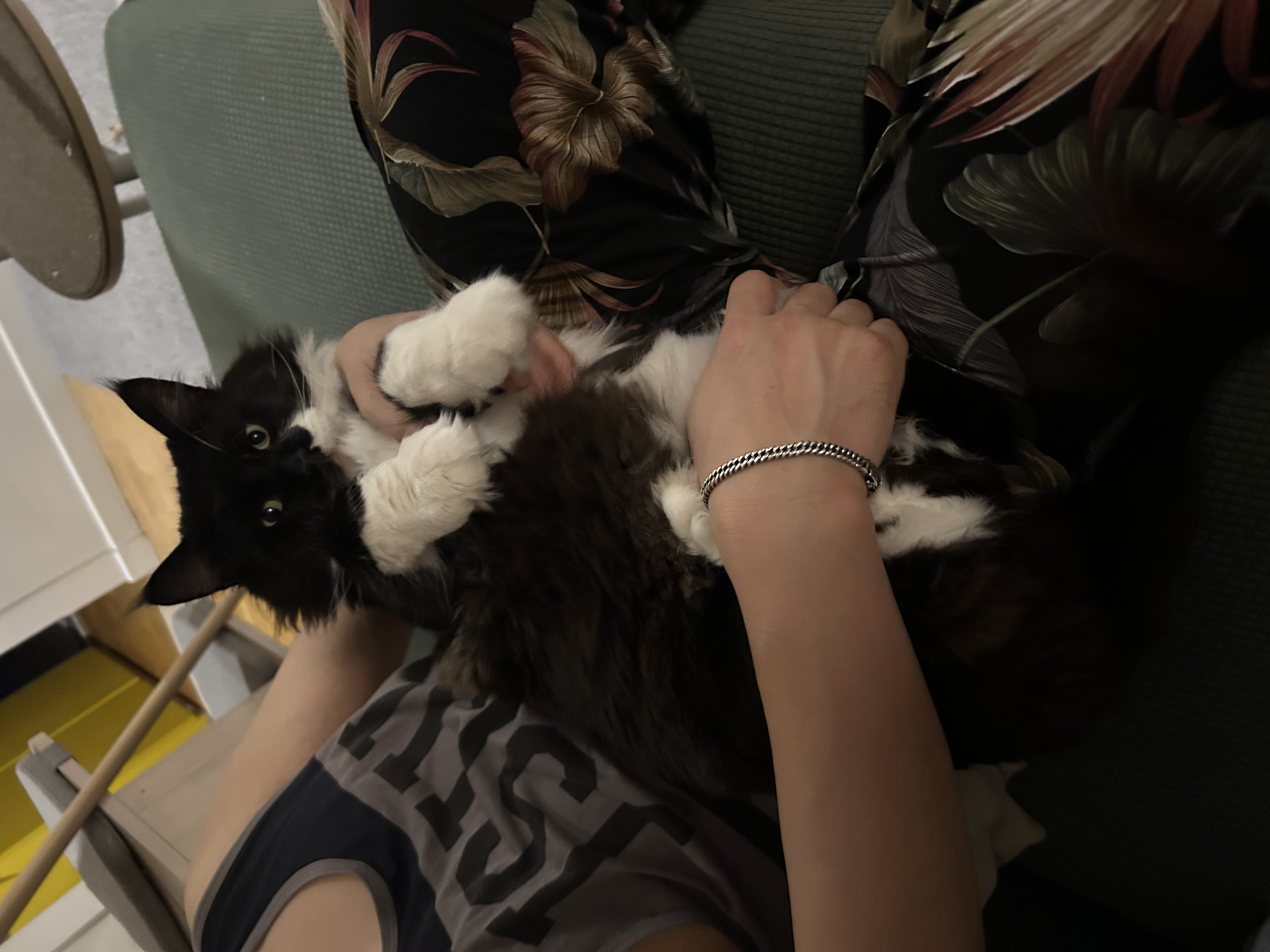 산이(인쿤이)와의 1년