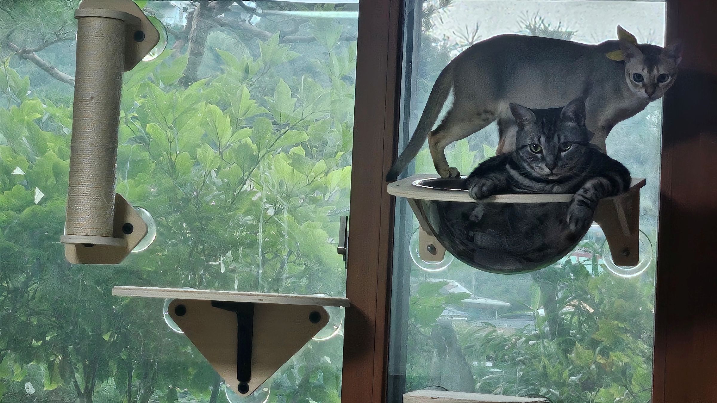 나무(철이)와 함께하는 두번째 이야기