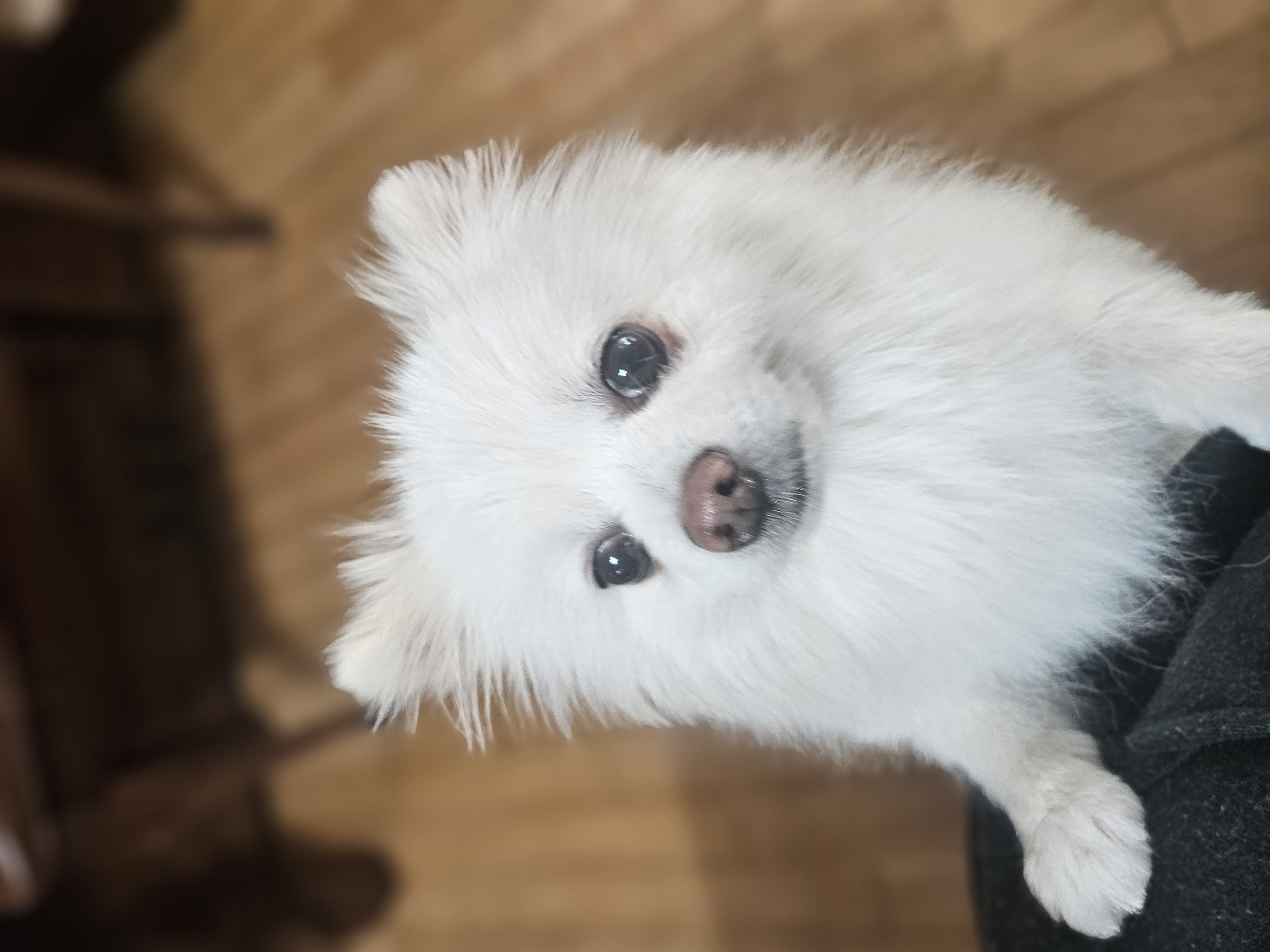 오키와의 일주일