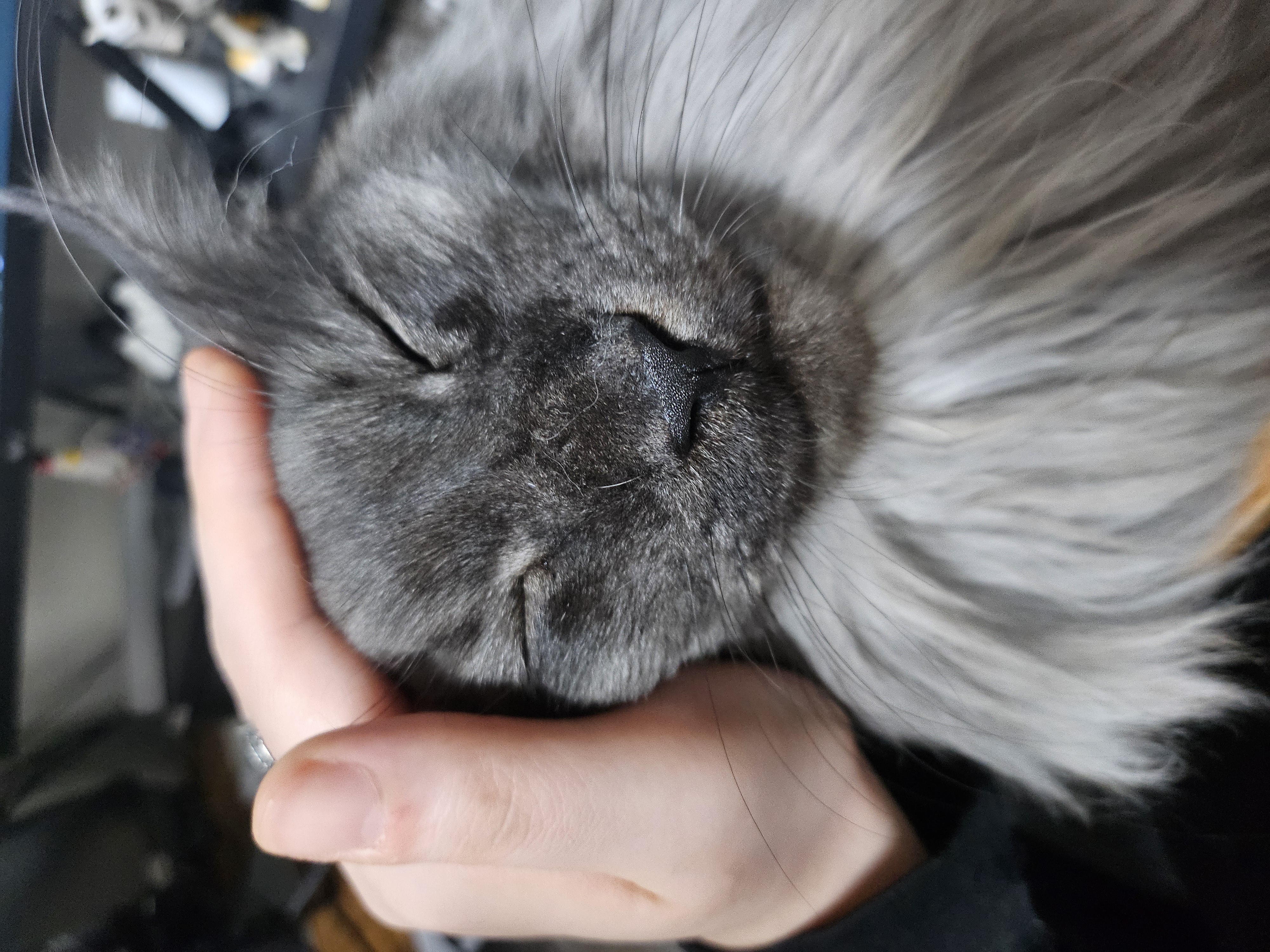 꾼 입양 3개월차!!