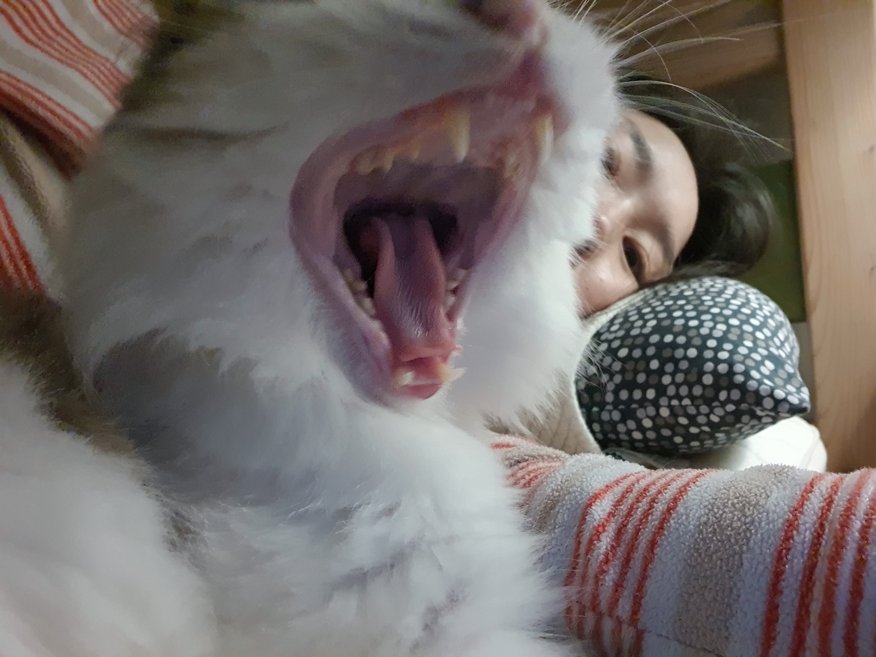 아가(현 에릭)가 벌써 일년이라니요!!