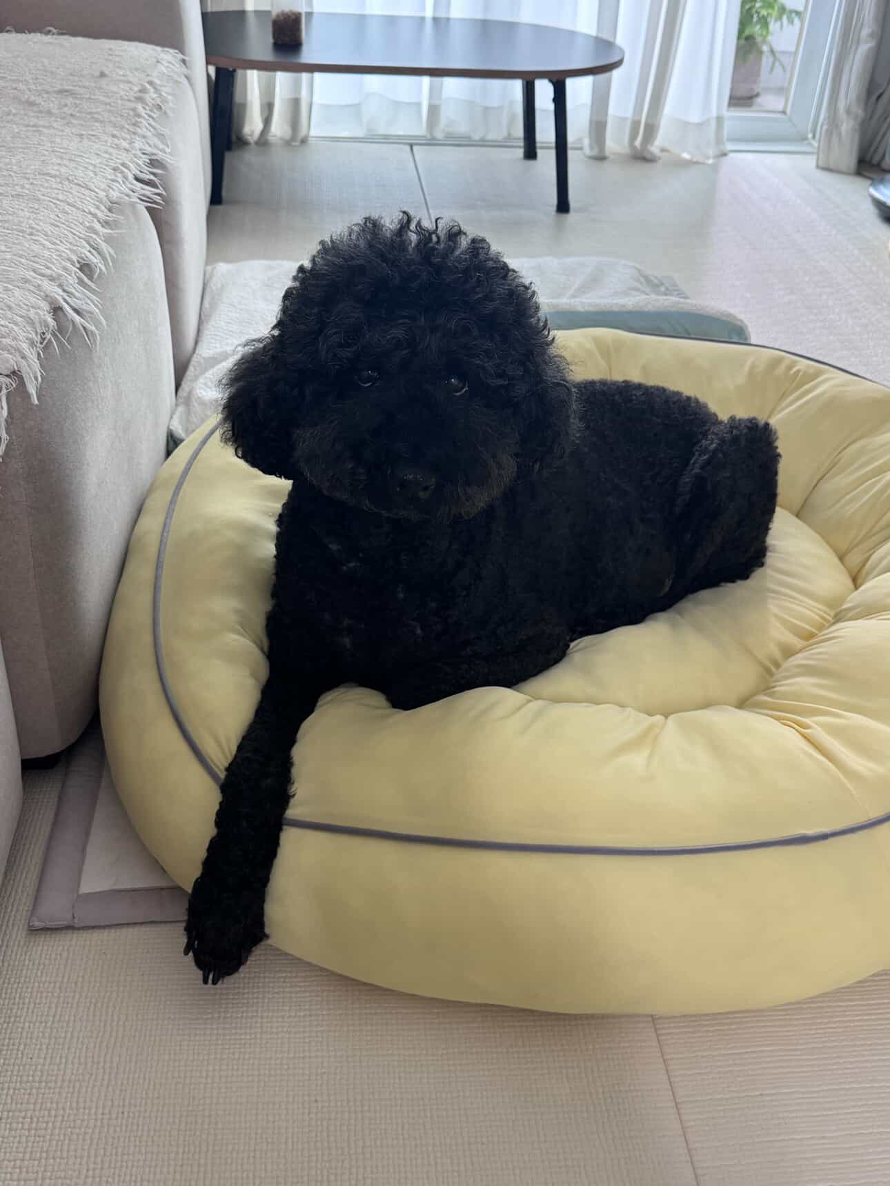 헤라와 함께한 너무 소중한 시간