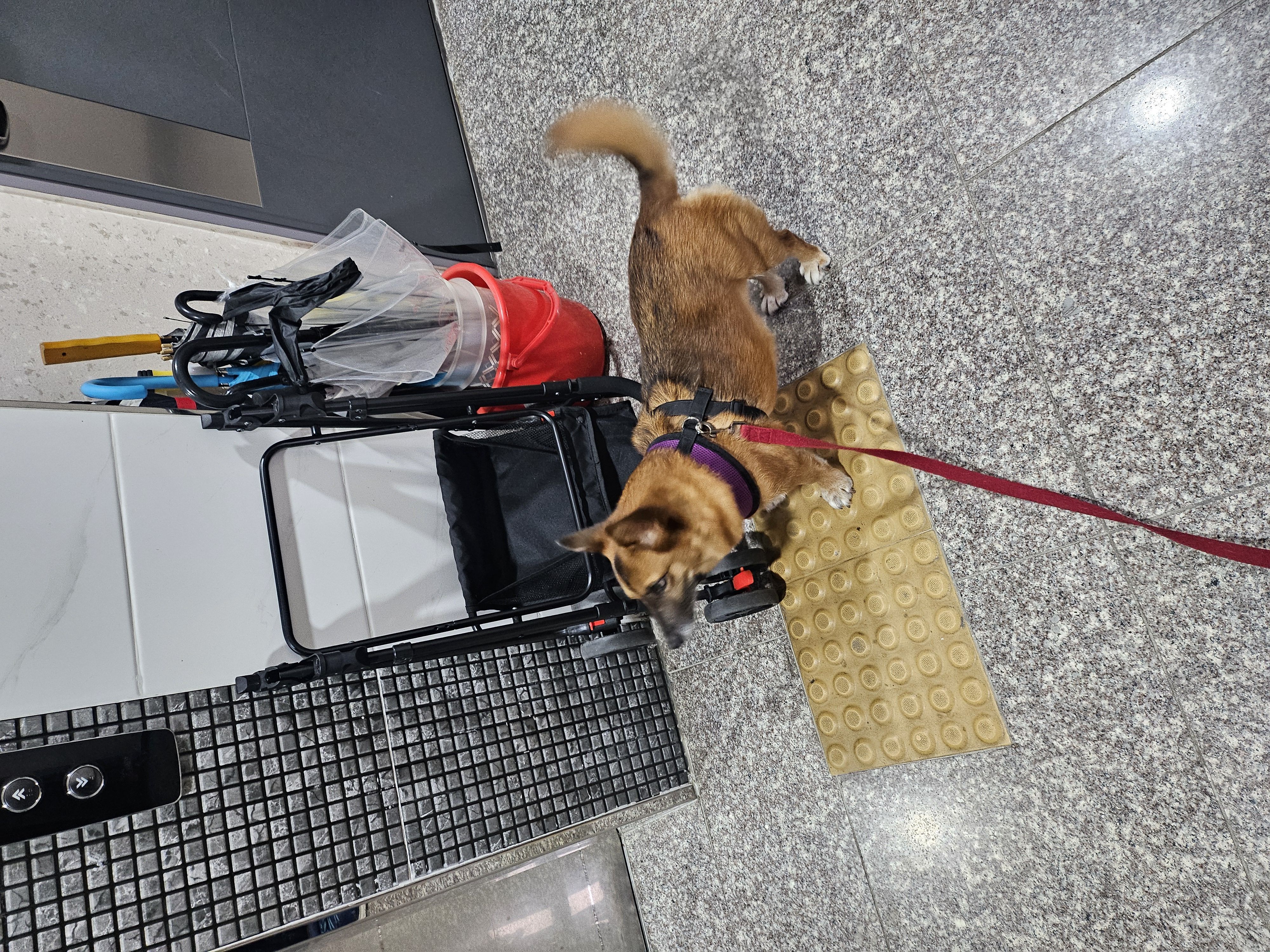 리카 새해인사드립니다.