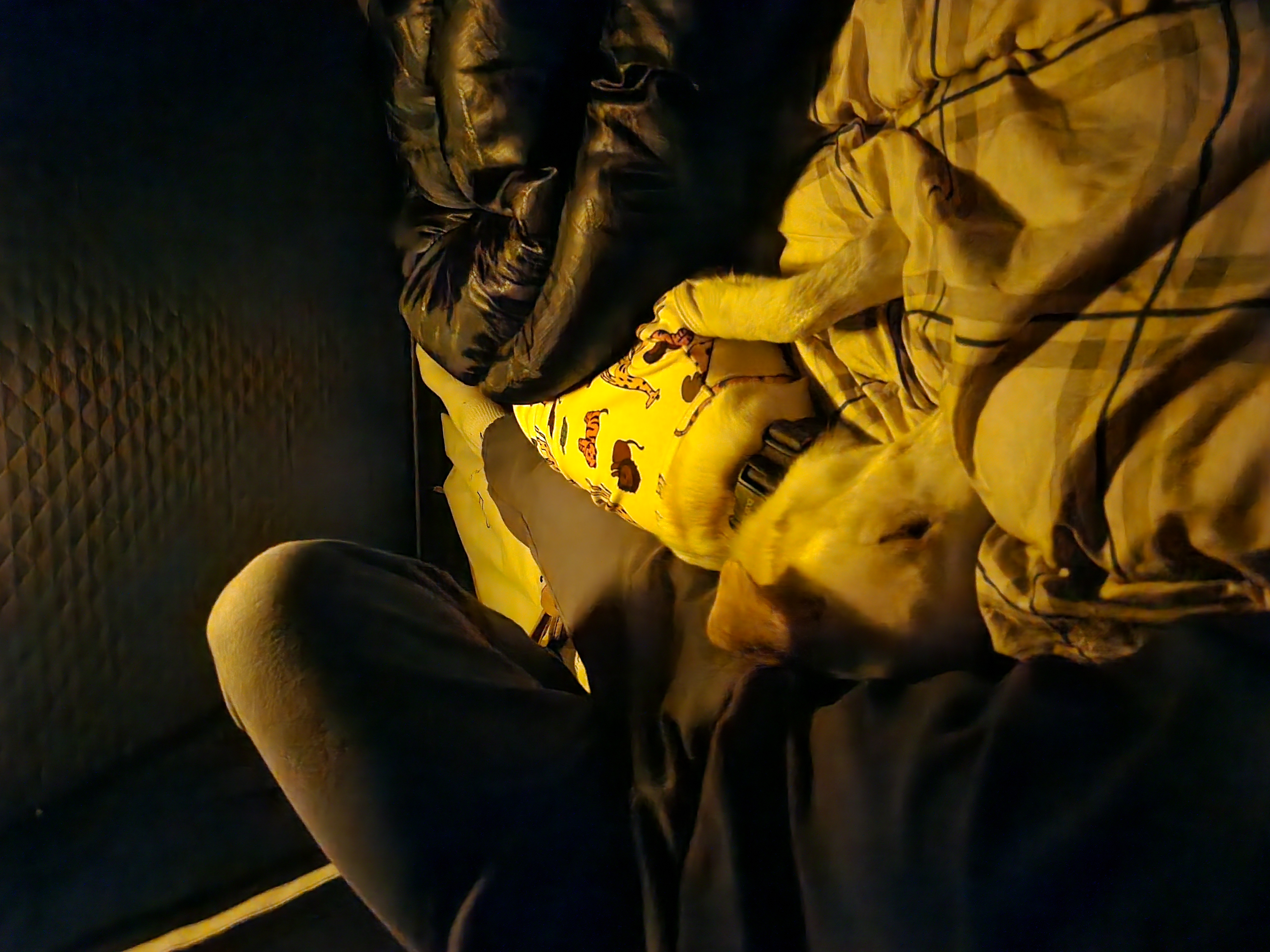 구구(구 건빛) 입양 2년차 후기입니다🧡