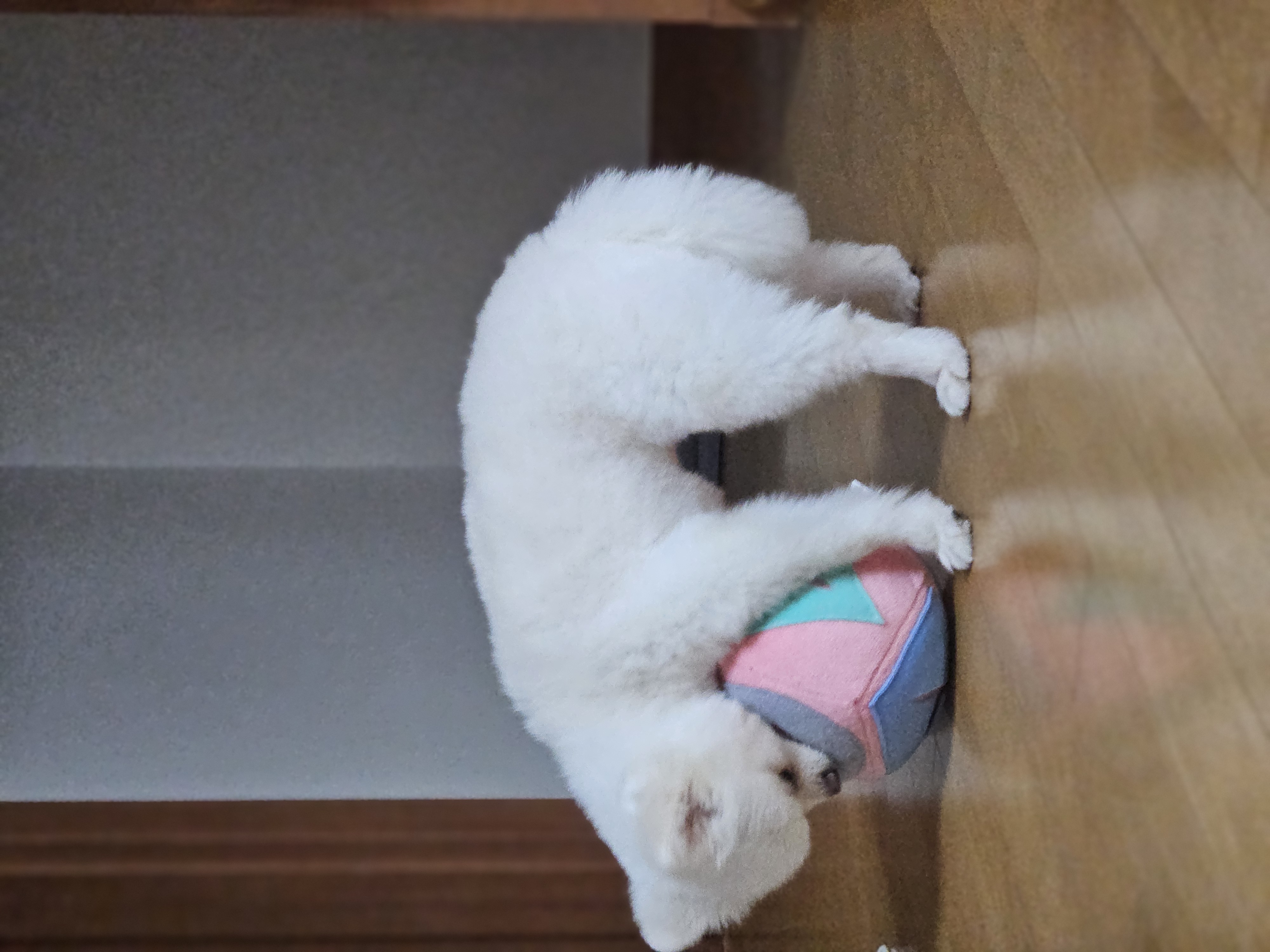 나루(구 빙봉) 한달차 후기