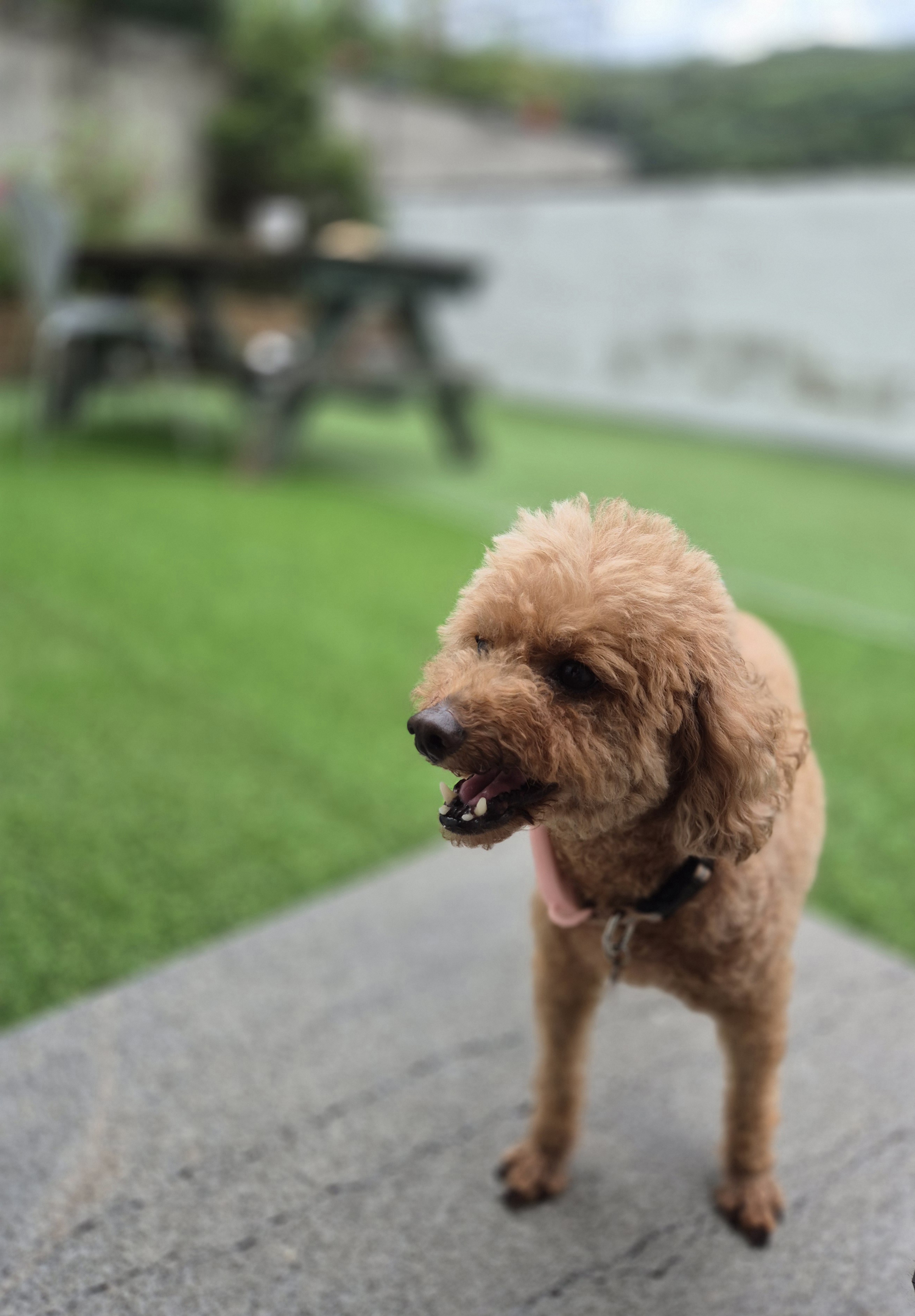 해랑이와 일주일