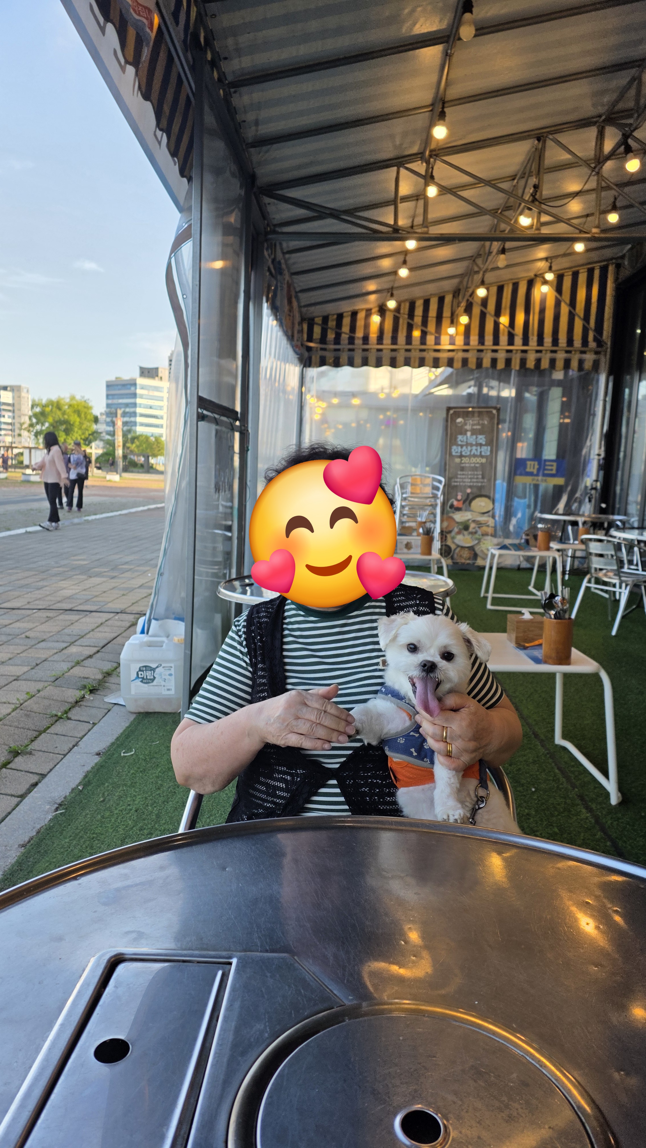 썬(포치)의 인생4년차