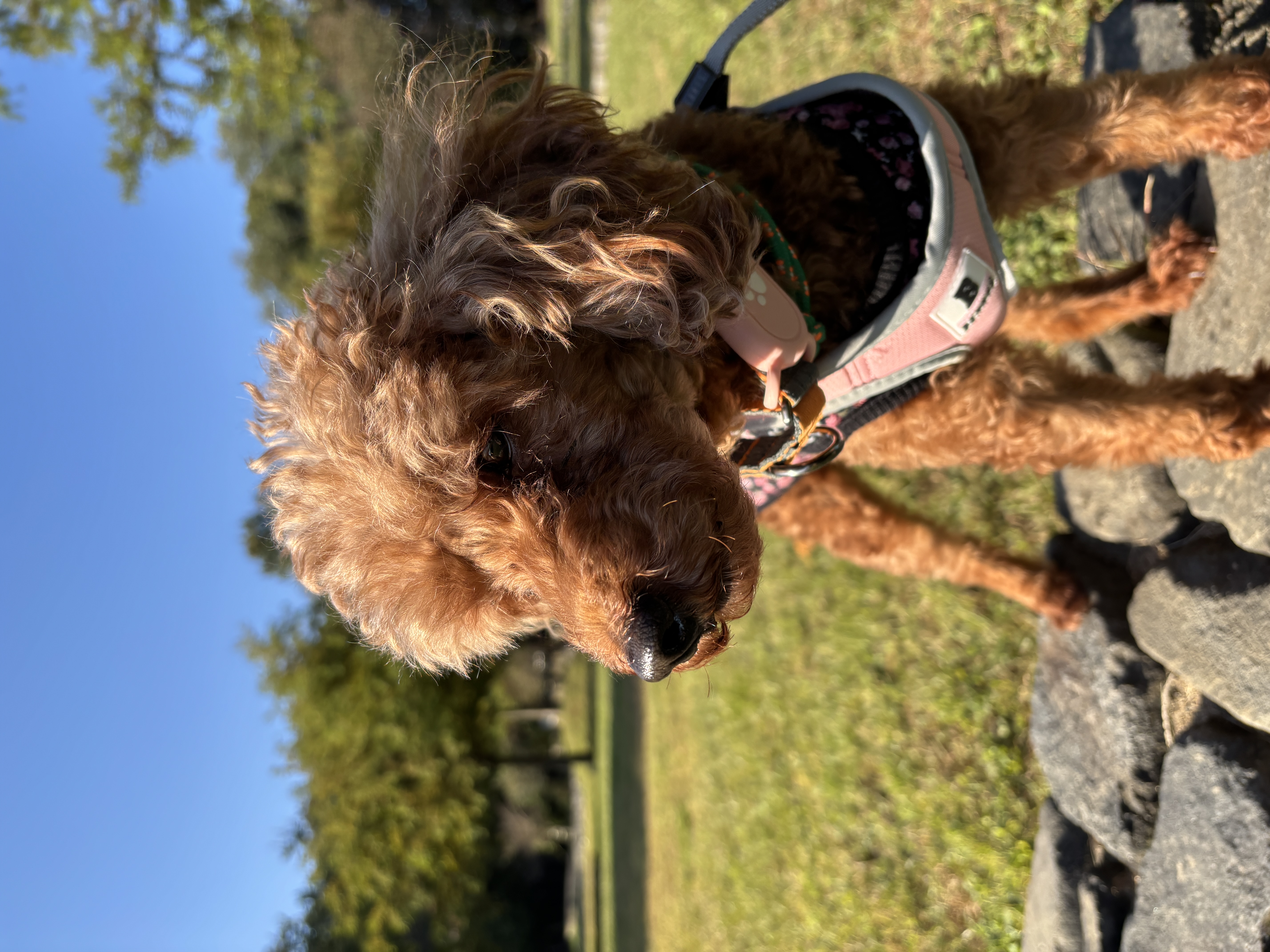 보사의 3개월 후기 