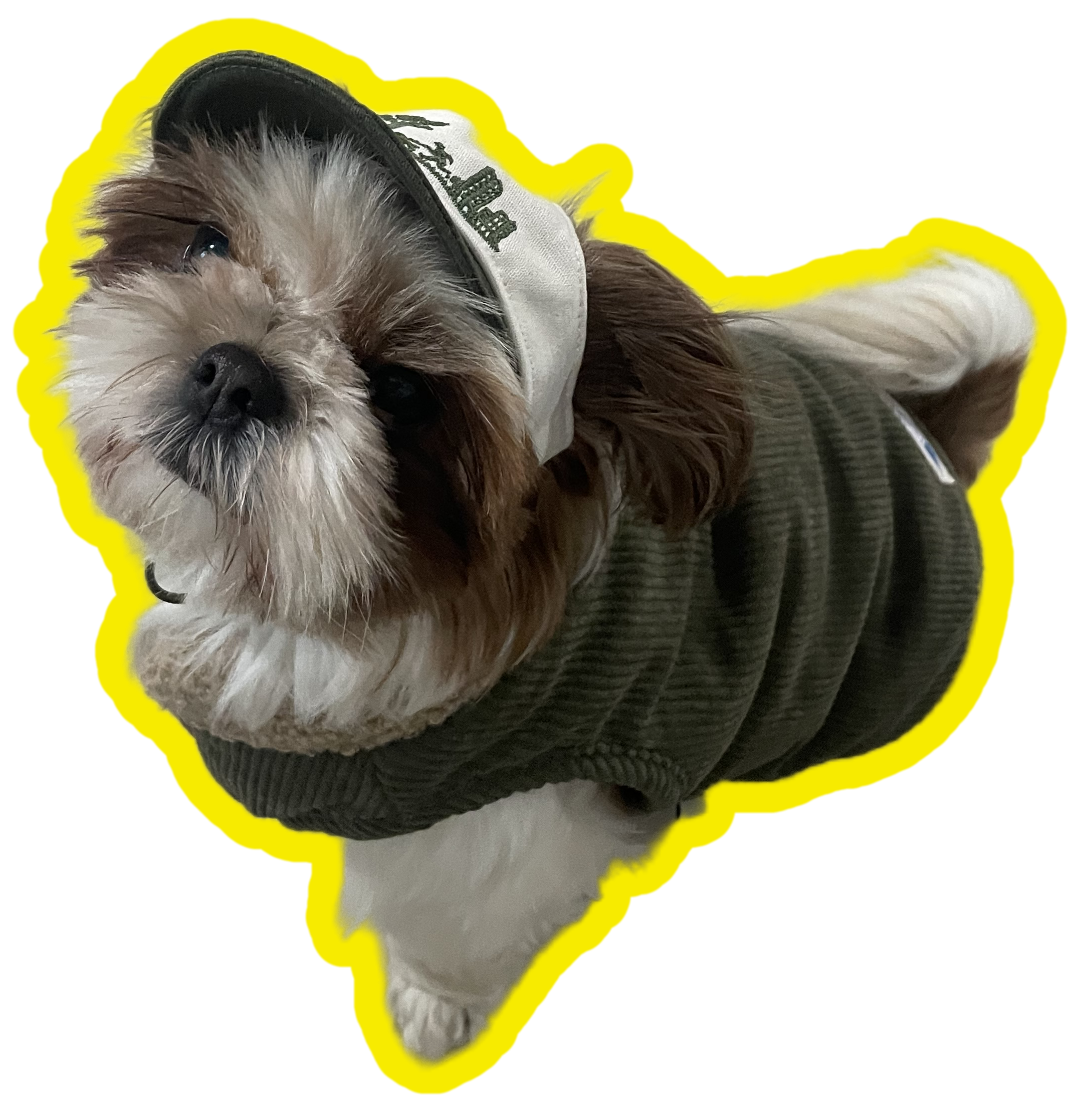 토리와 함께한 한달후기