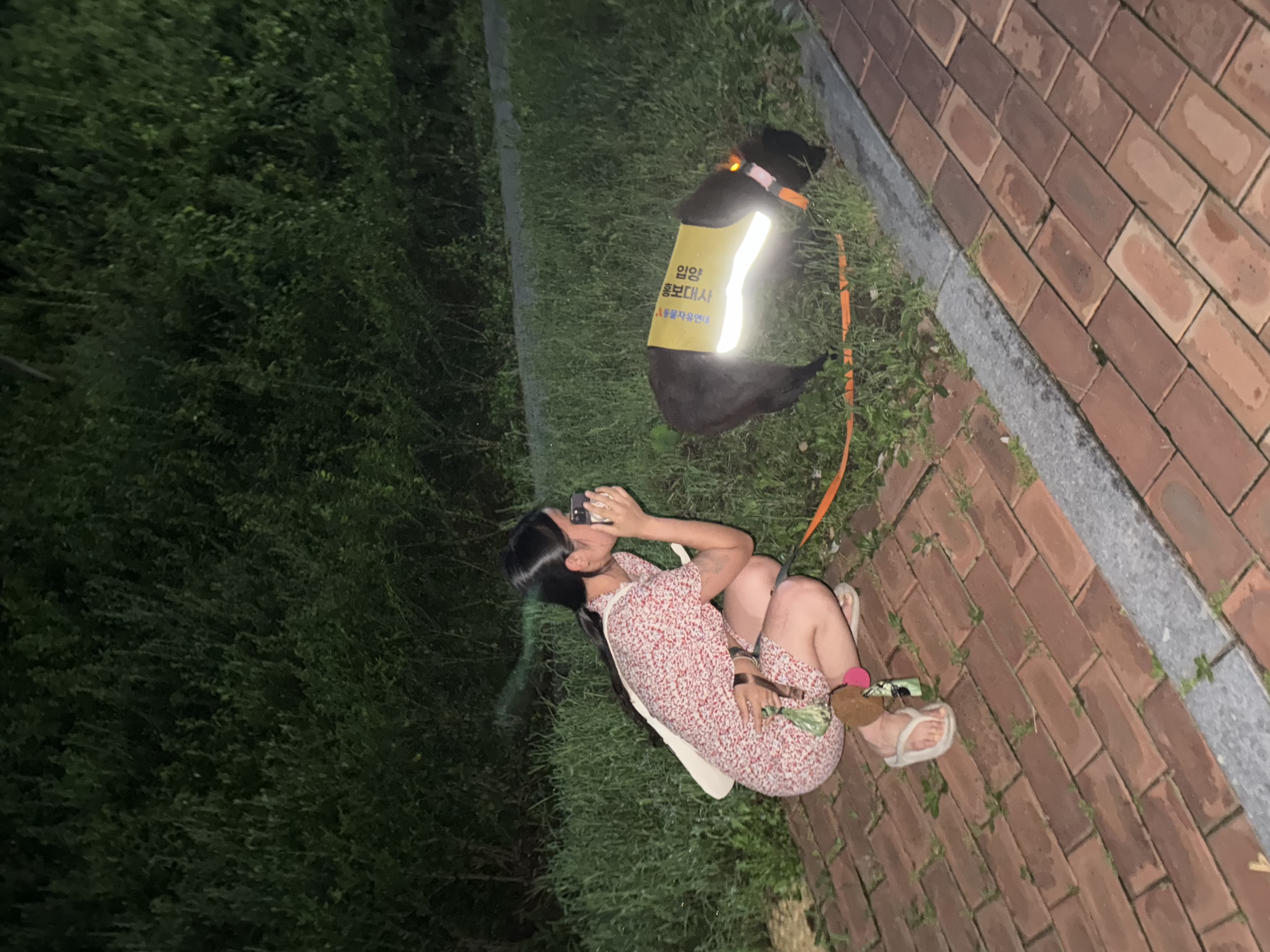 반달이의 즐거운 집생활