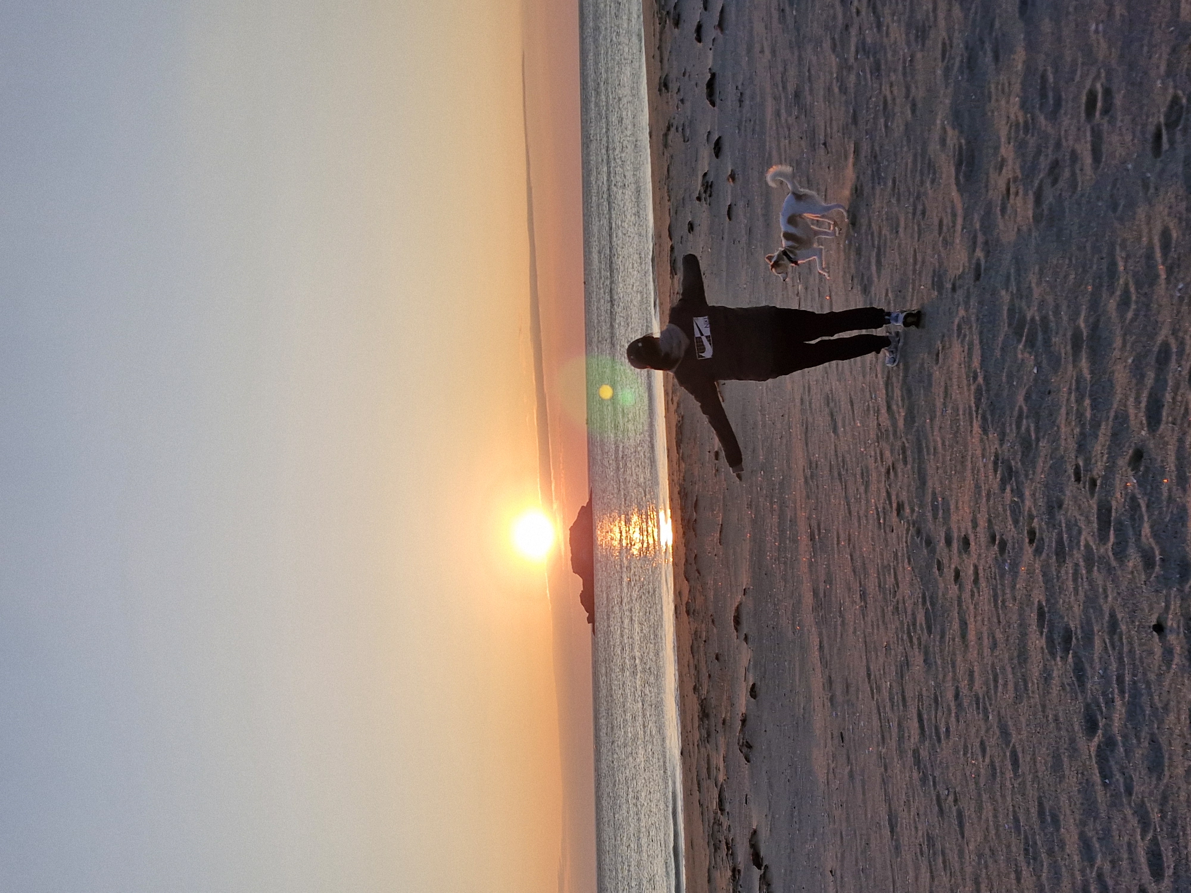 구구(구 건빛) 입양 2년차 후기입니다🧡