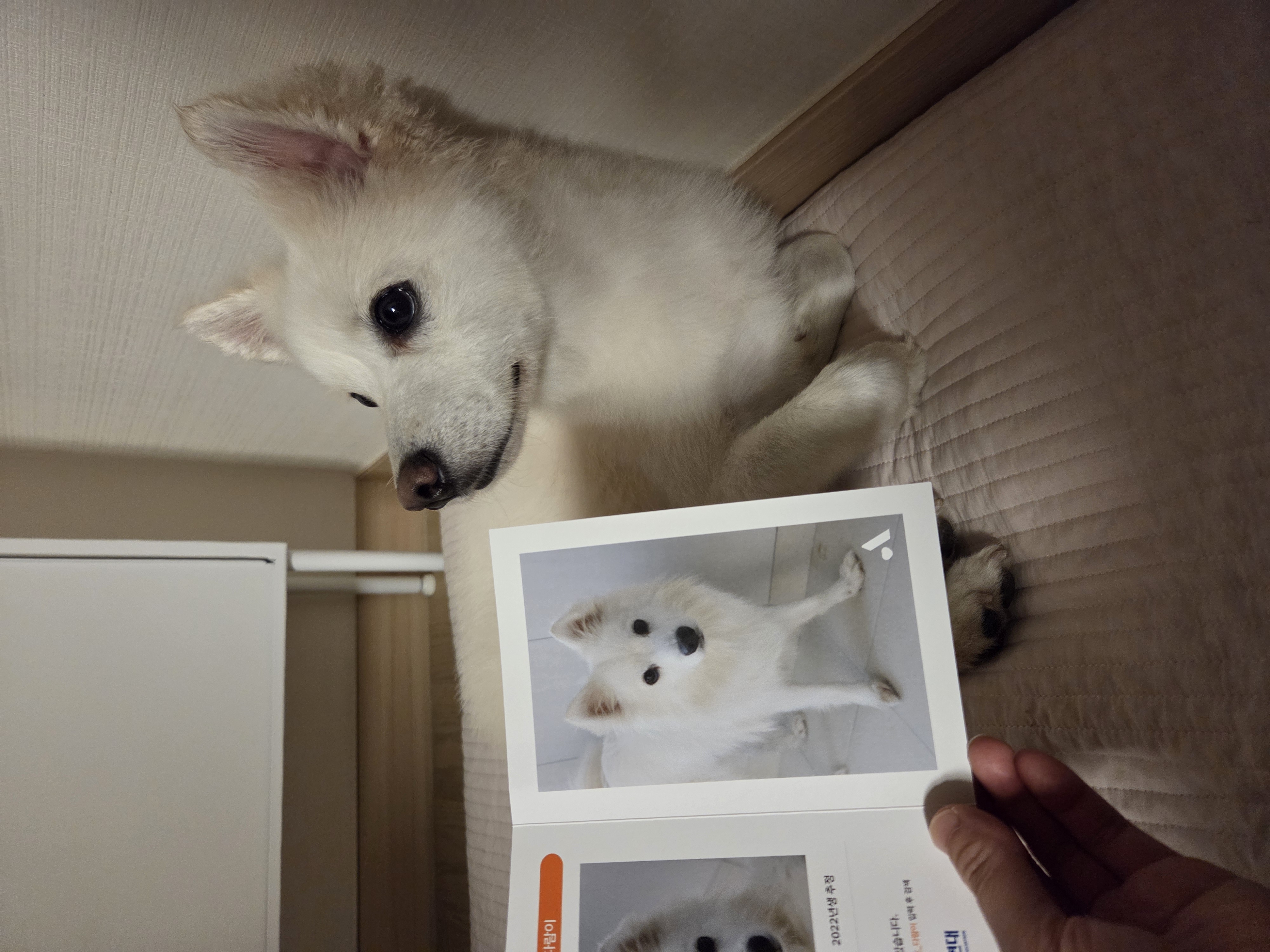 사랑둥이 다람이🐿 한달차 후기🤎