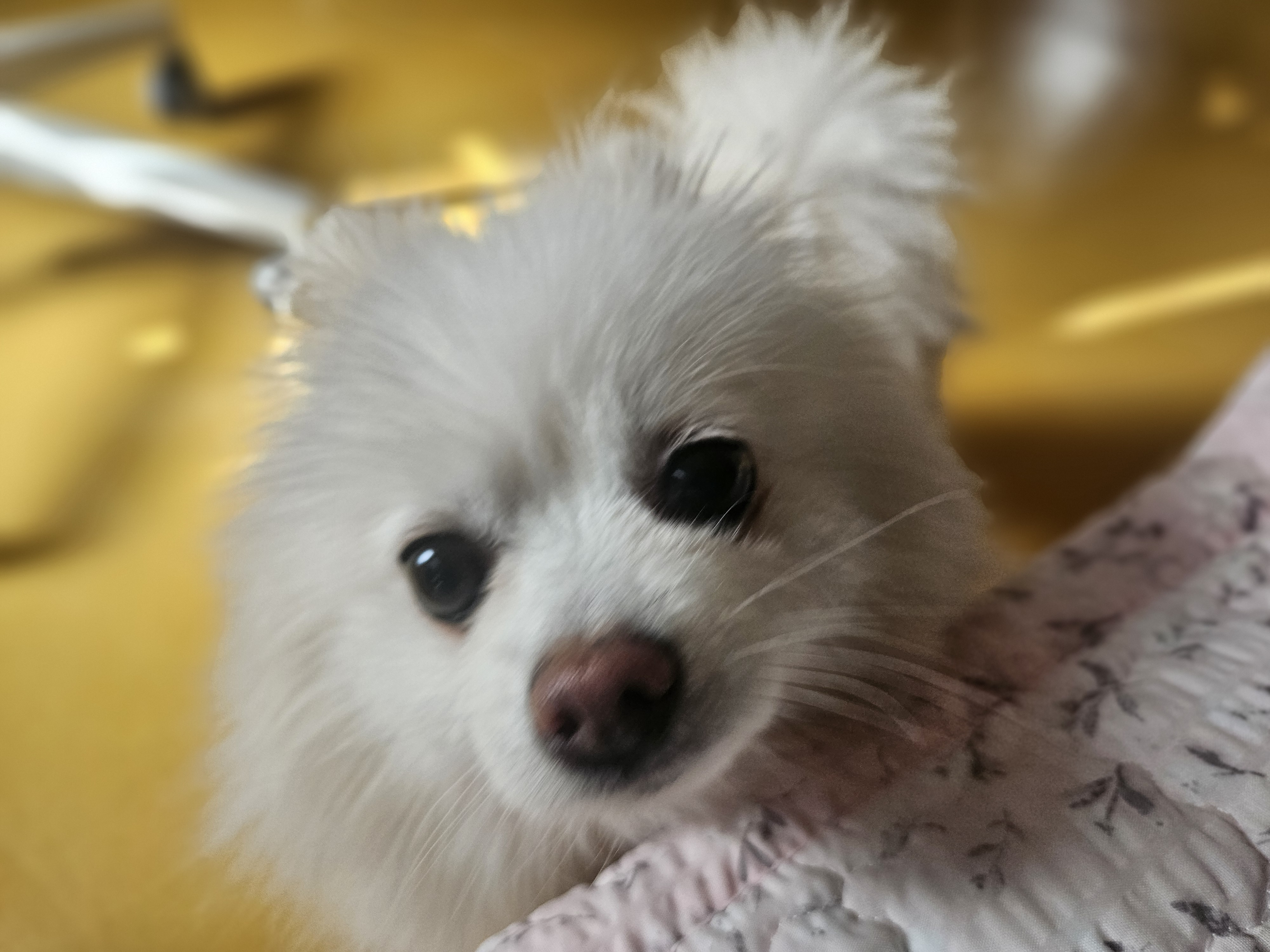 오키와의 일주일