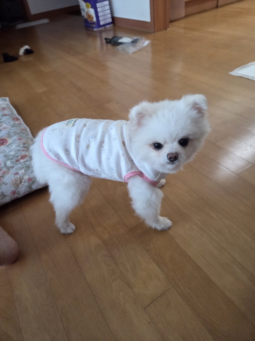 나루(구 빙봉) 한달차 후기