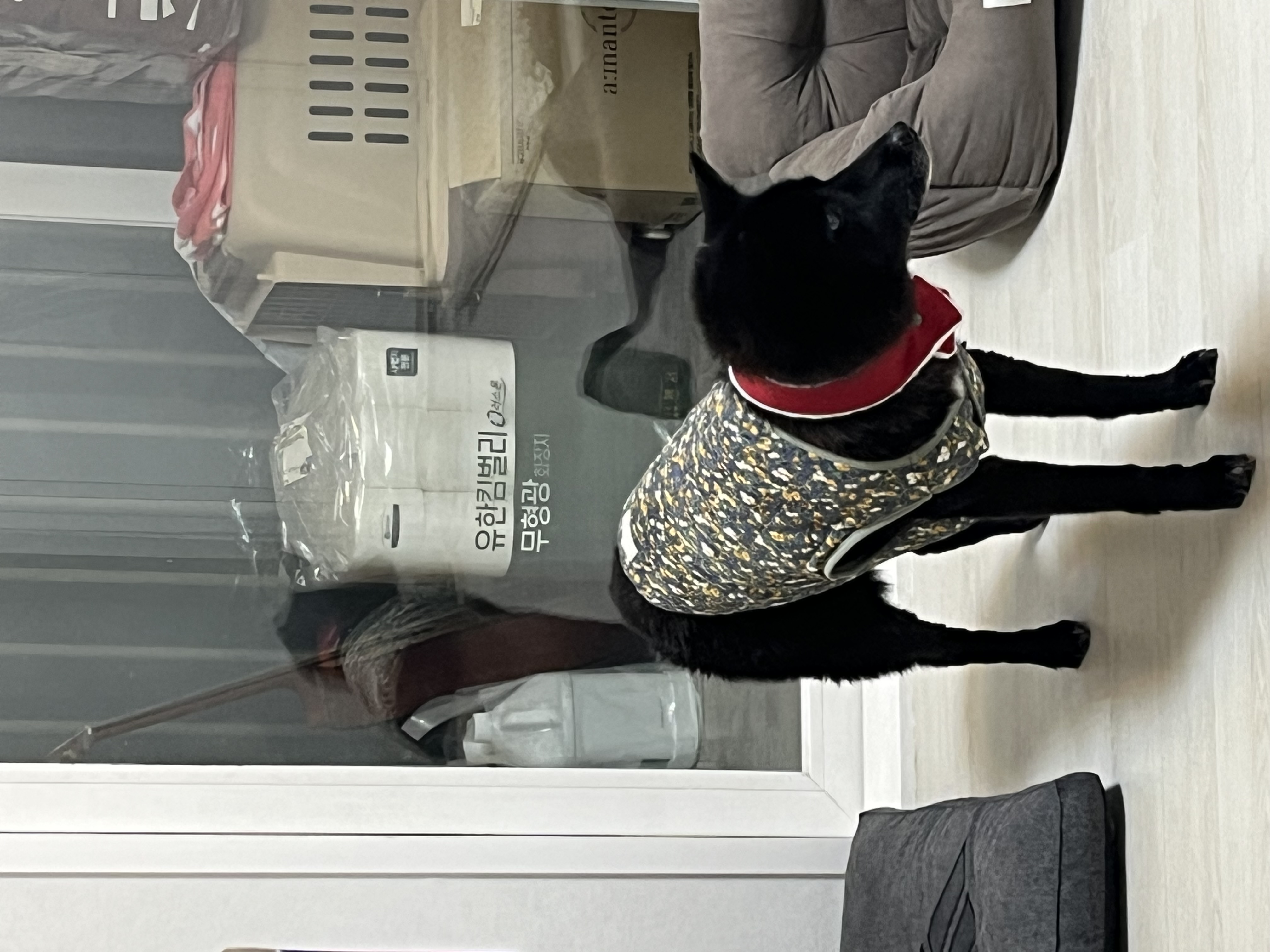 반달이 케일이의 집 적응기