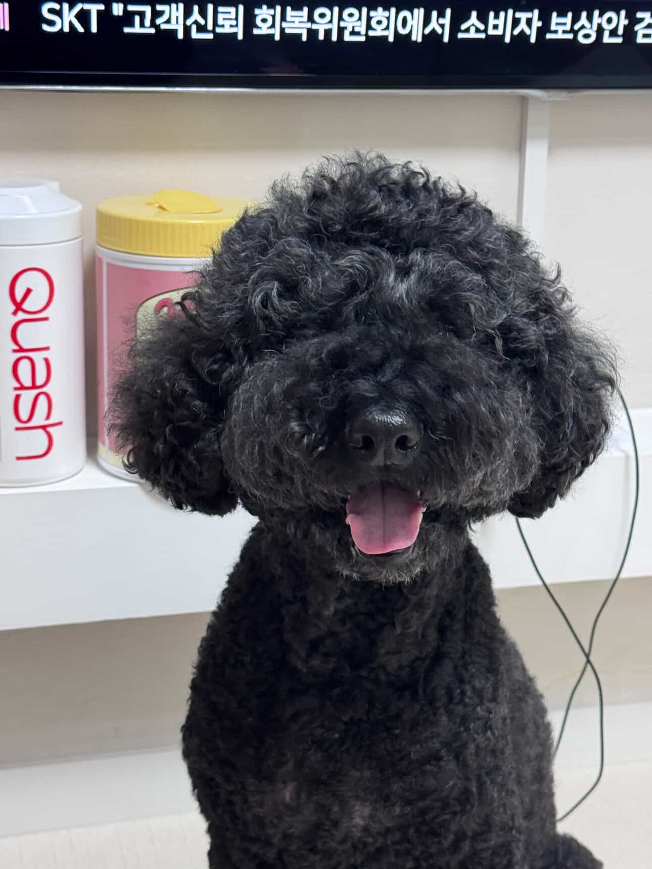 헤라와 함께한 너무 소중한 시간