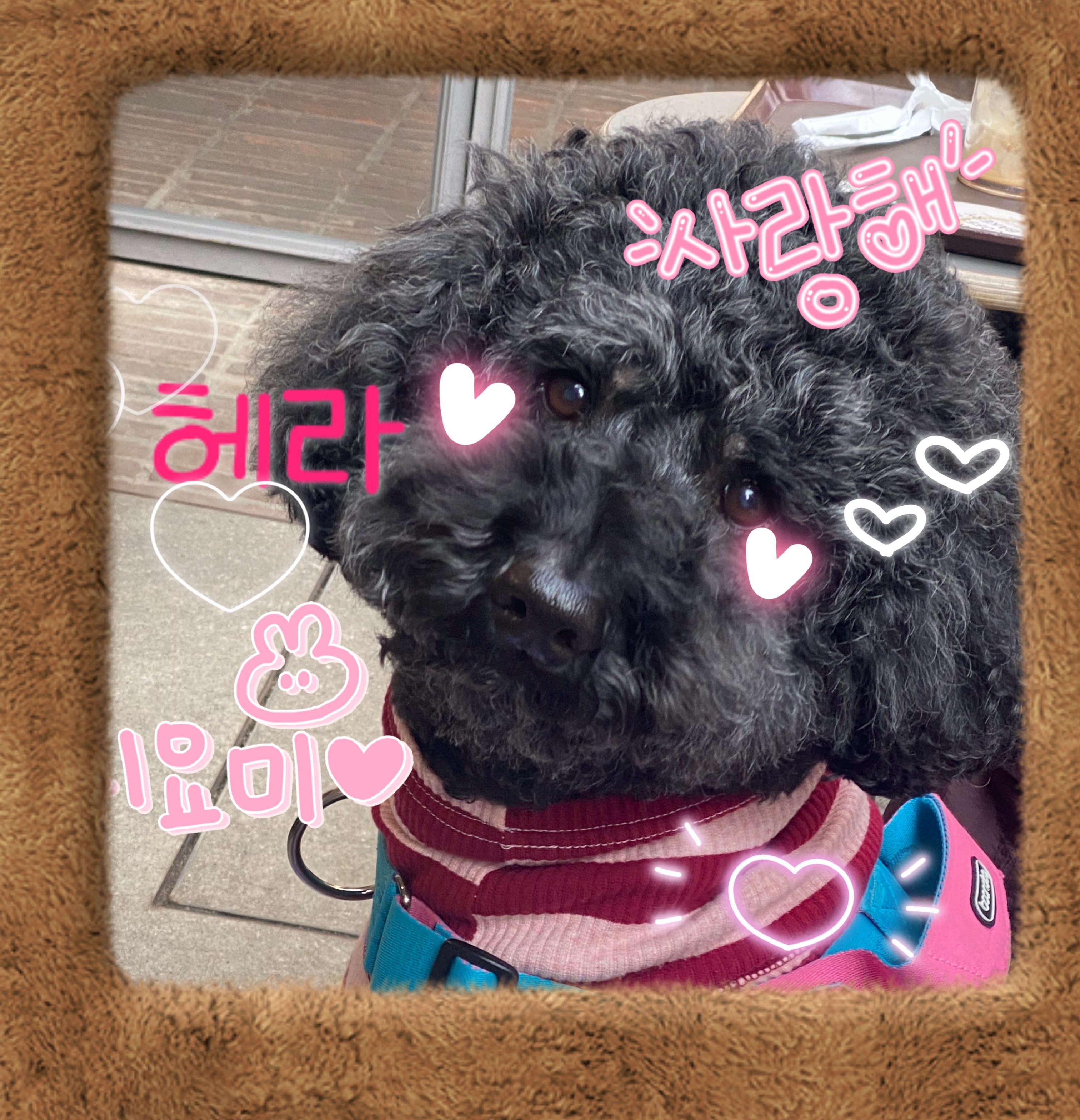 헤라와 함께한 너무 소중한 시간