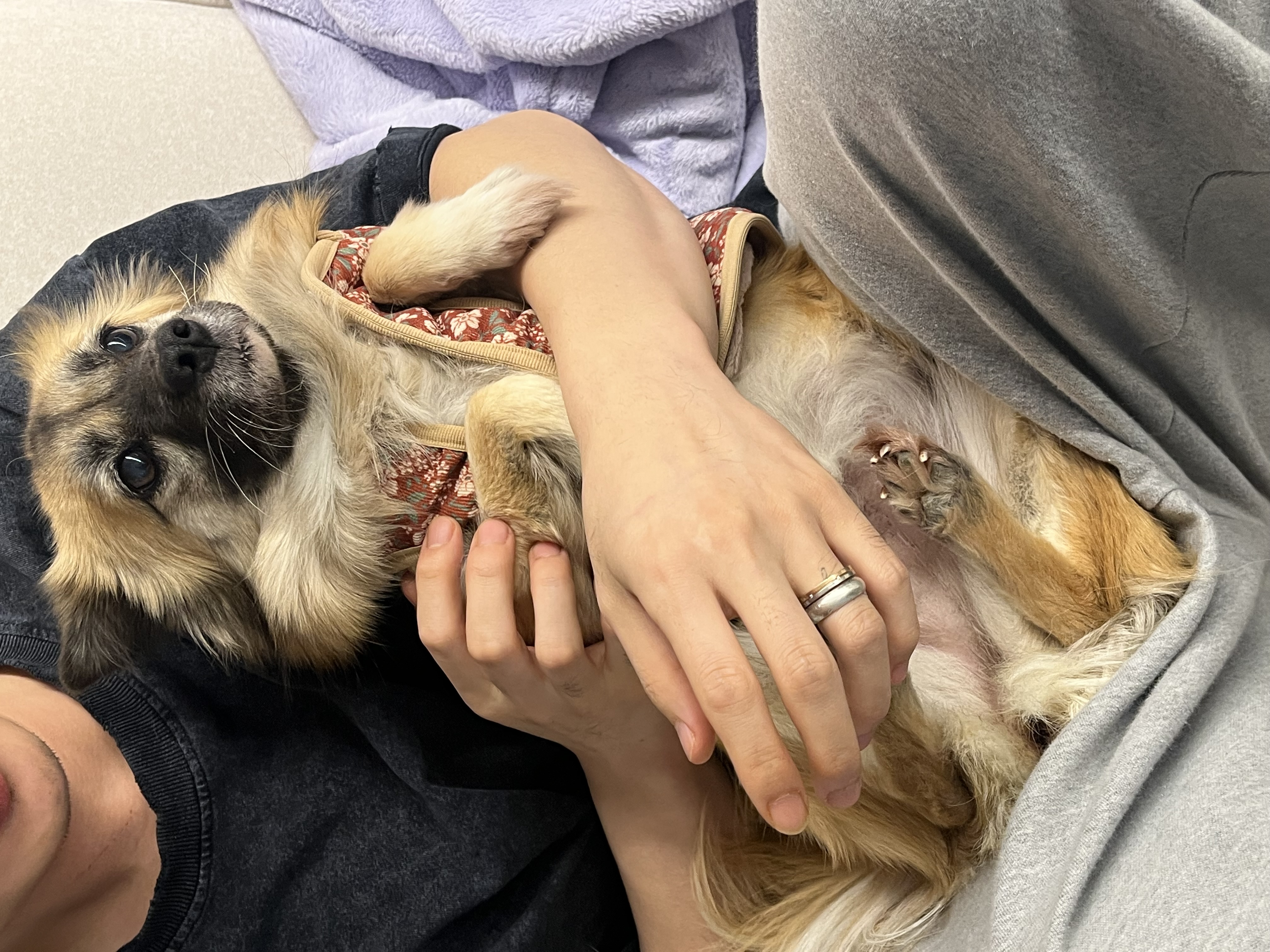 반달이 케일이의 집 적응기