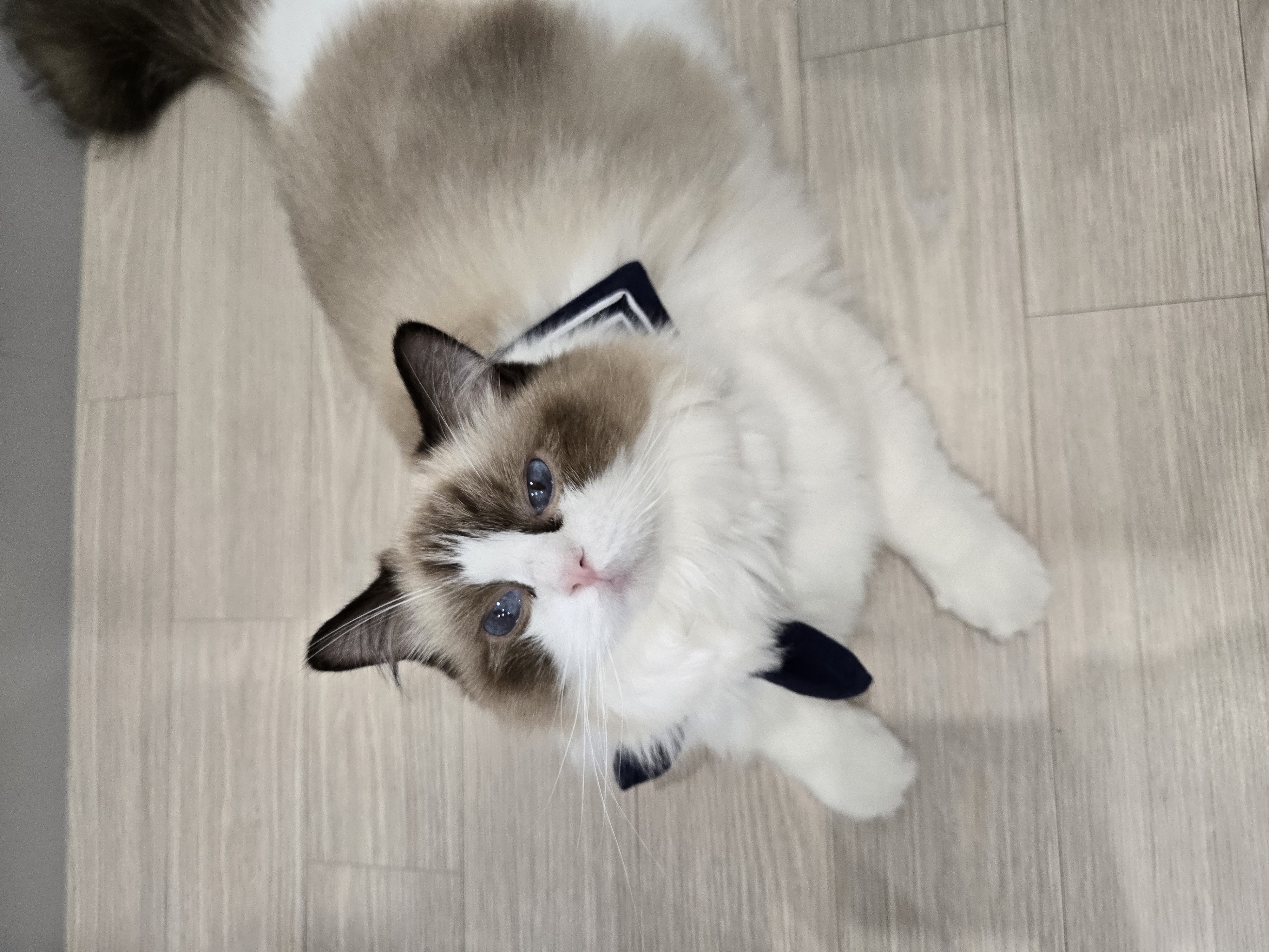 미야오(마시) 우리는 가족 : 3개월 차