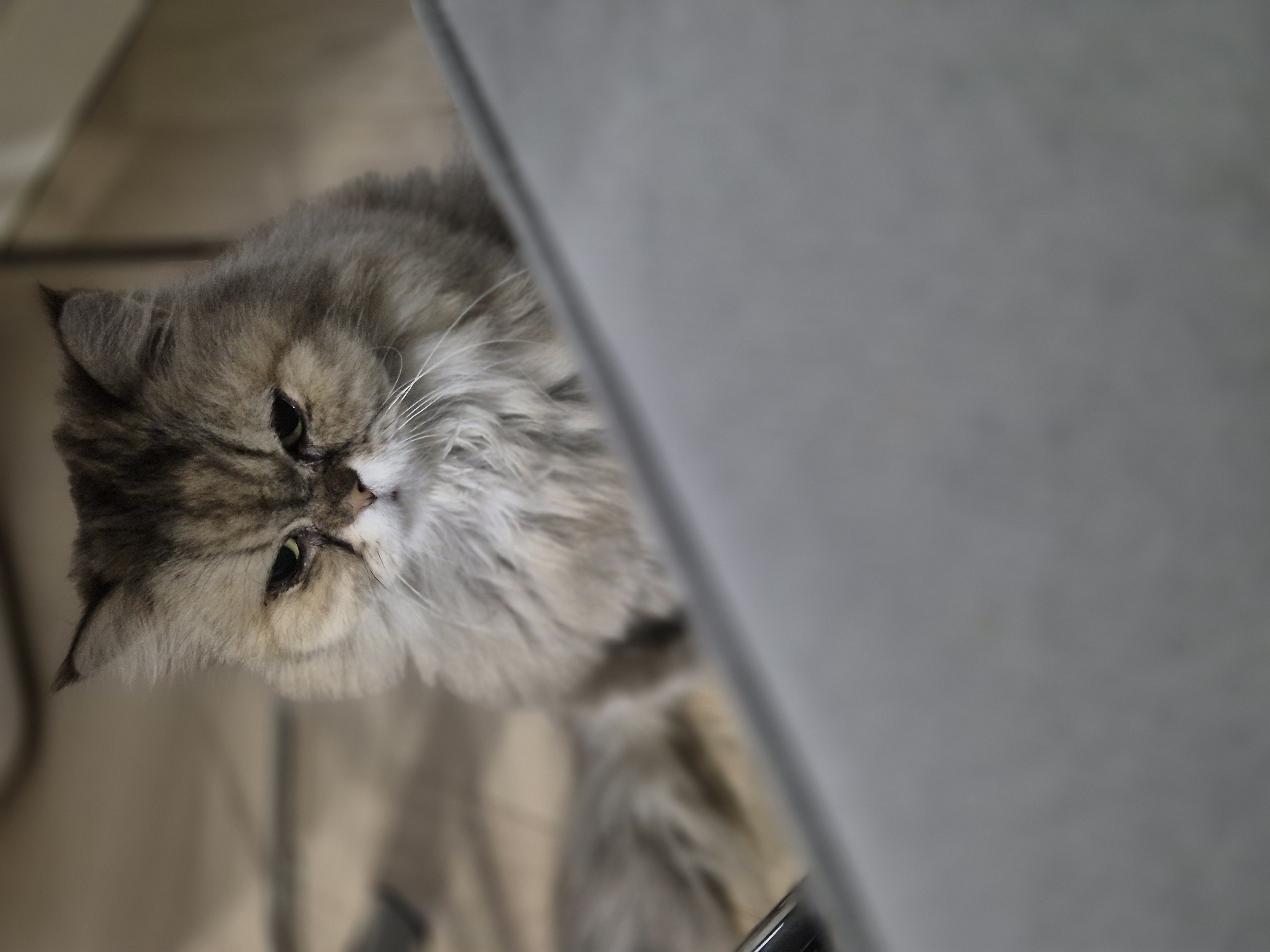 밤장이네 입니다