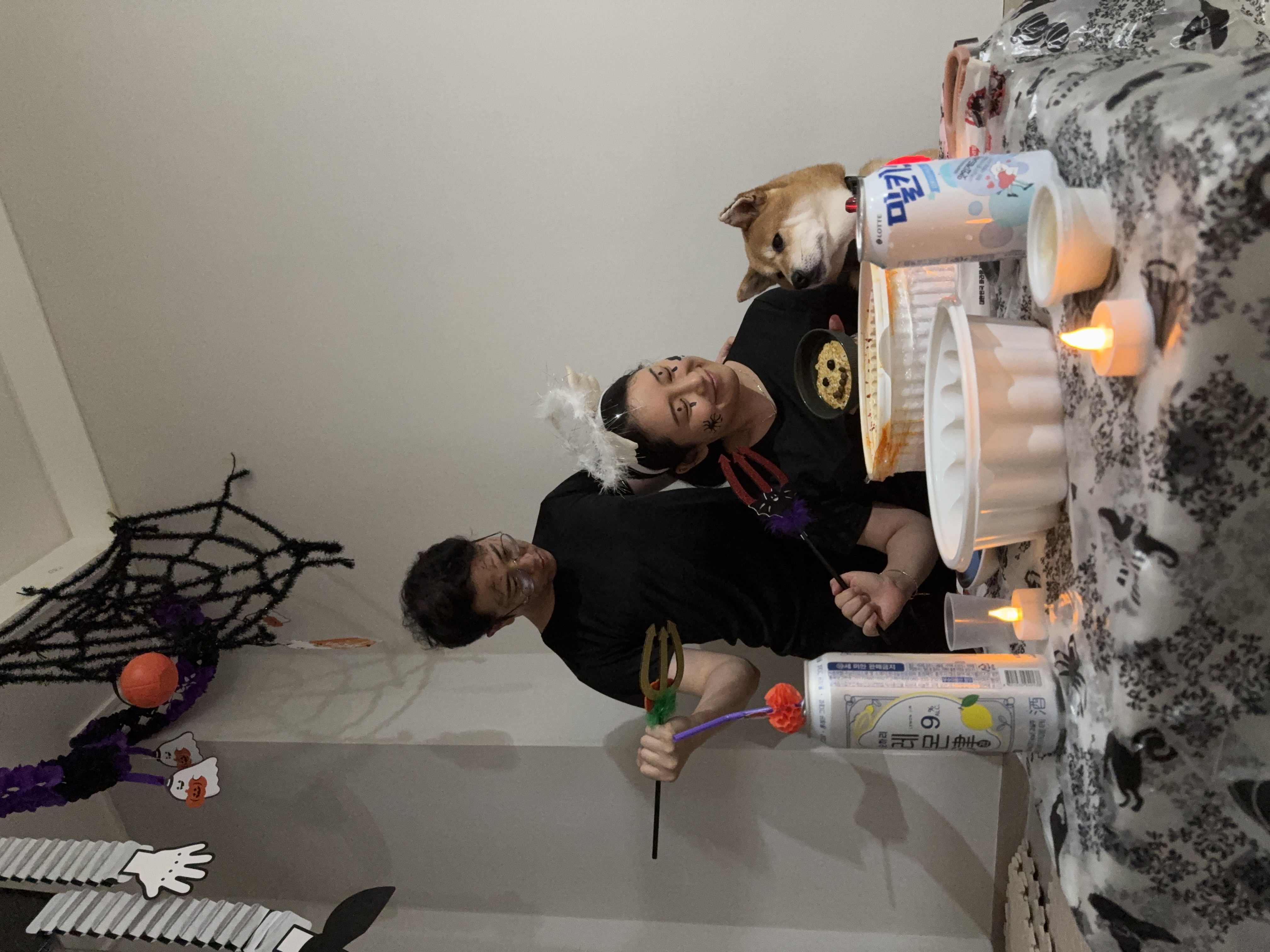 100일기념! 동배 입양 후기!!