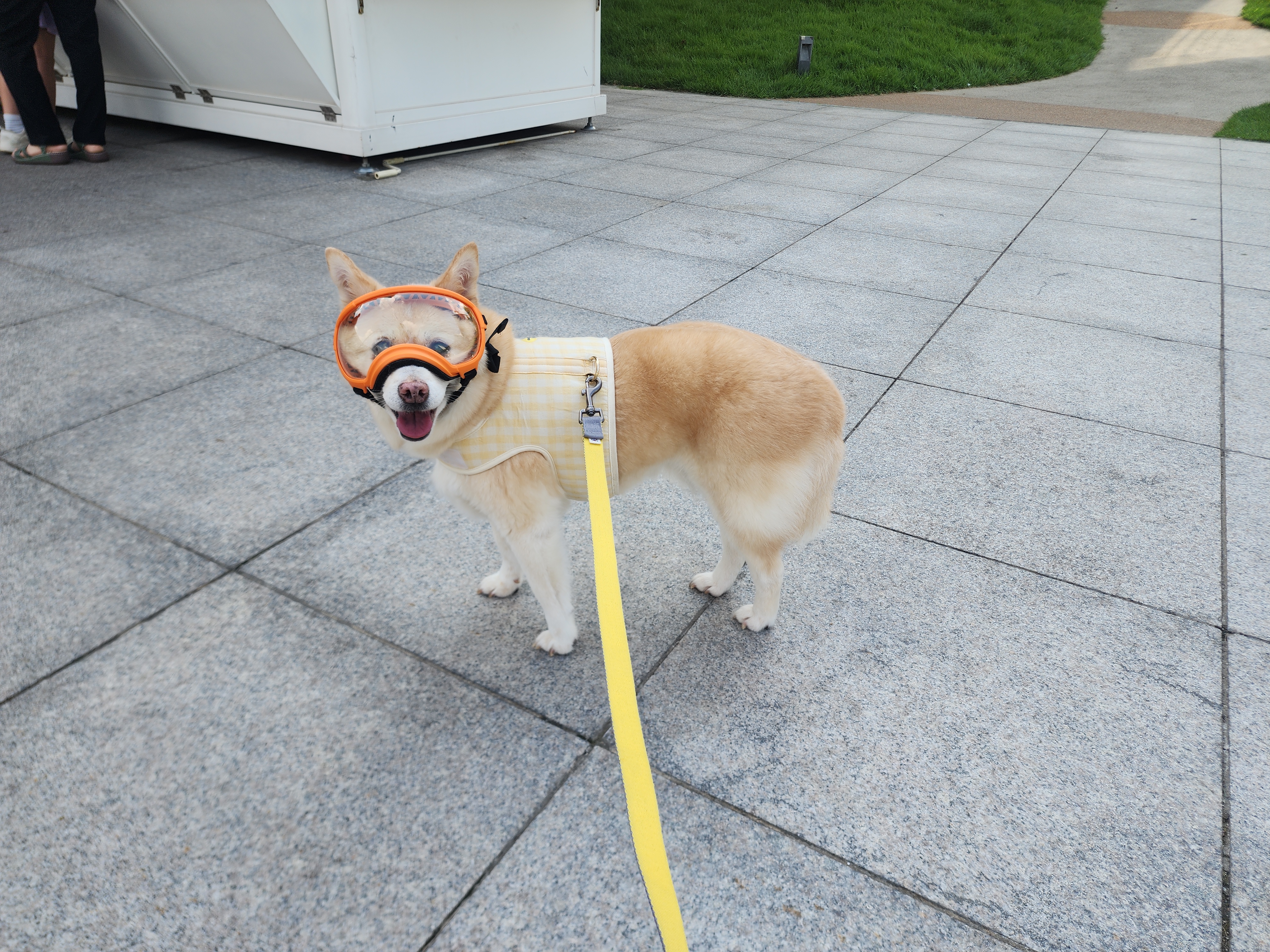 해피추석! 오랜만에 레이입니다:)