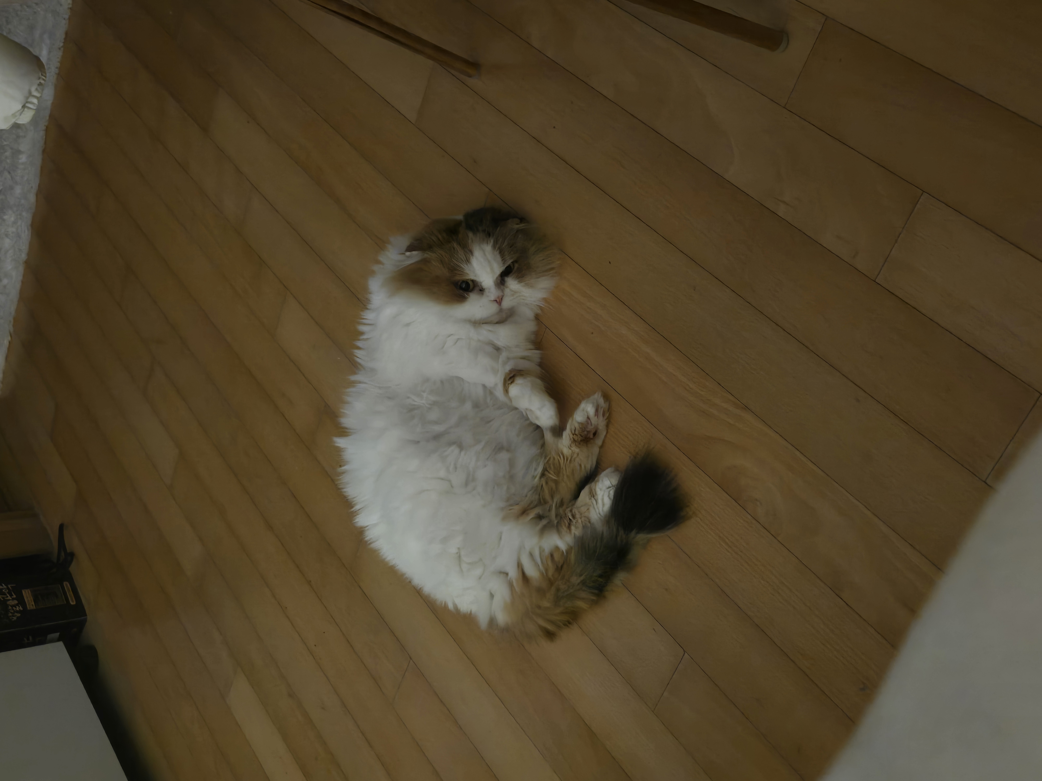 크룩섕스(알코) 1주년♡