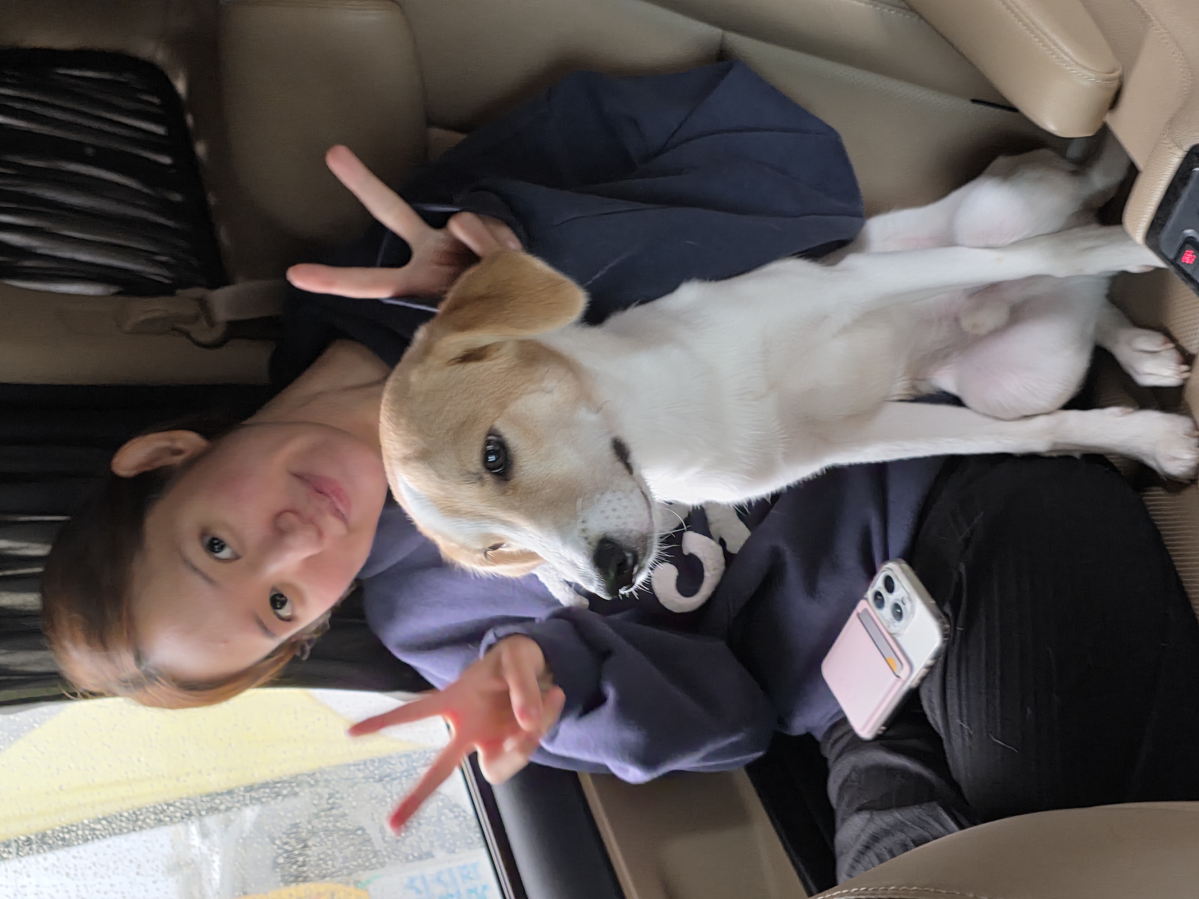 모디 3개월 추석이야기