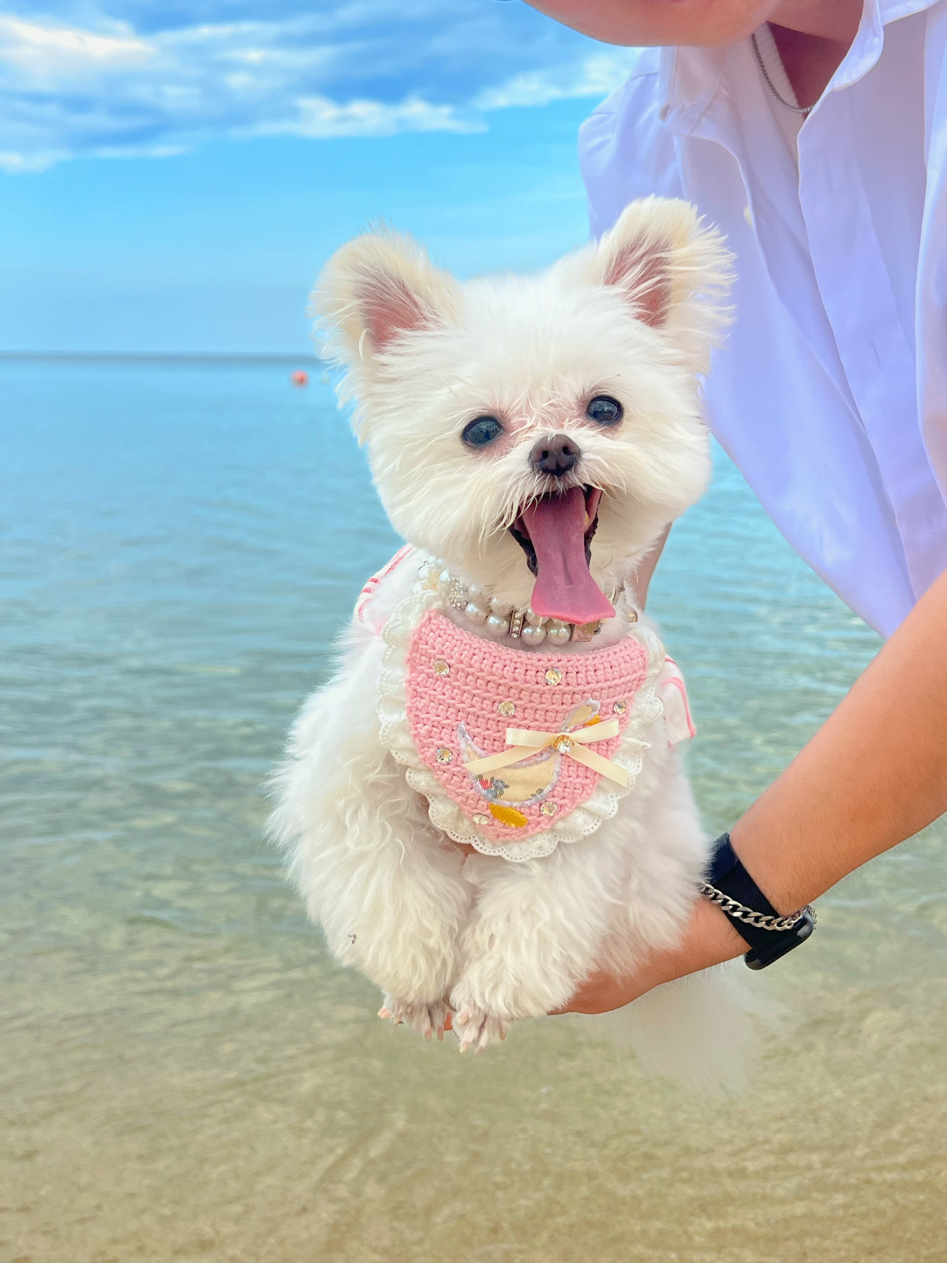 아산 가희->나엘 입양 3주년