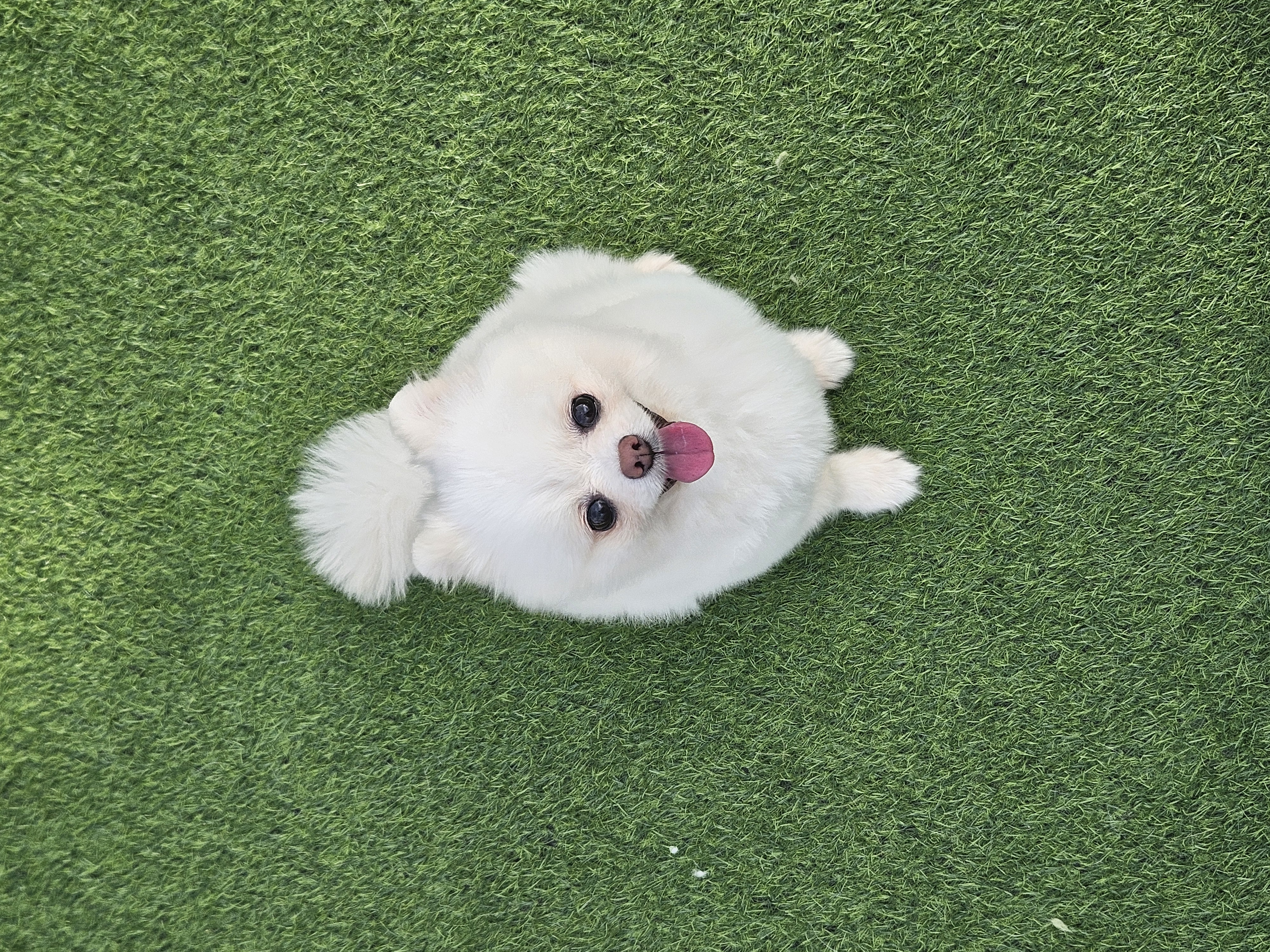 나루(구 빙봉) 한달차 후기