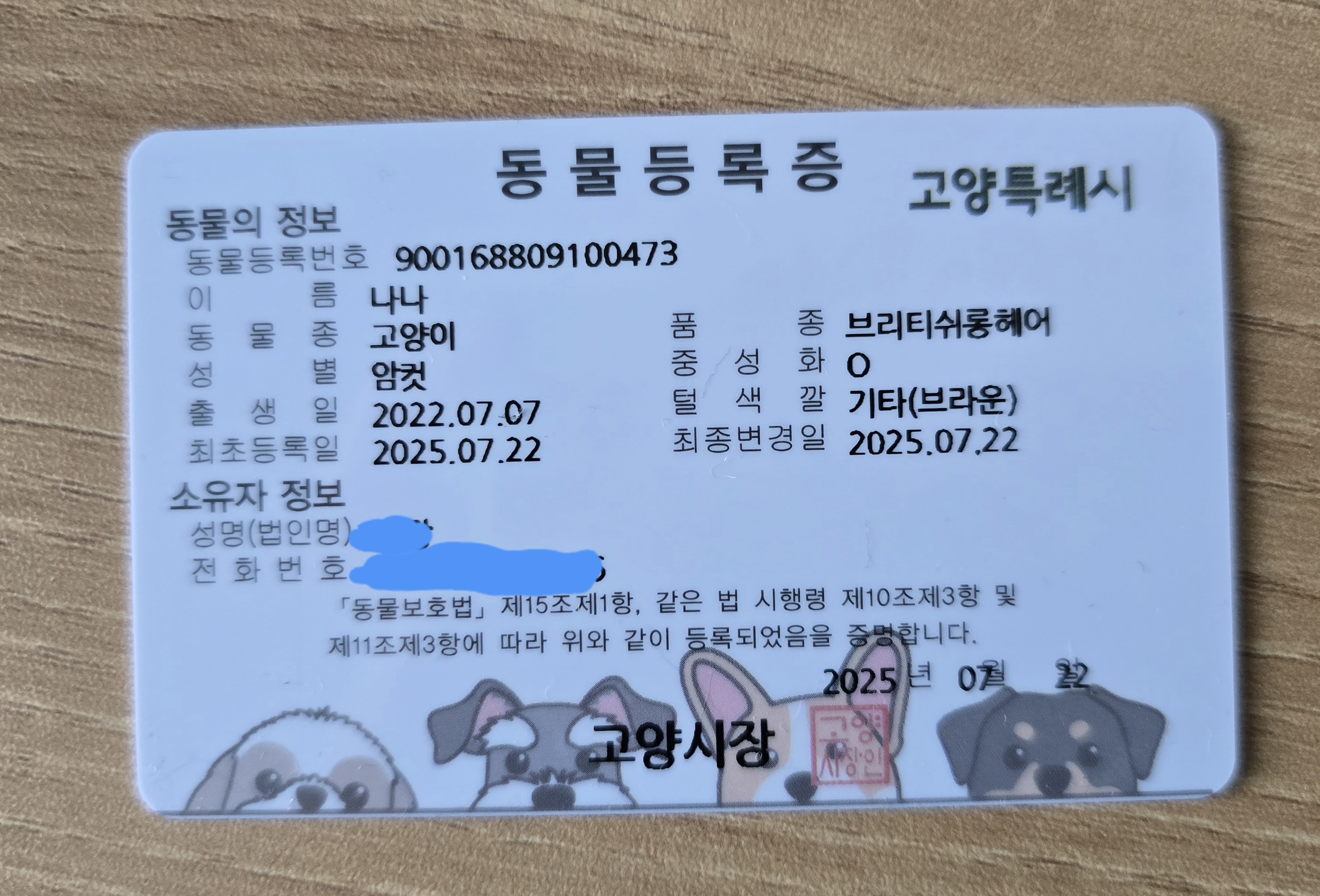 나나&무무(가필드&미가) 가족된지 7일째