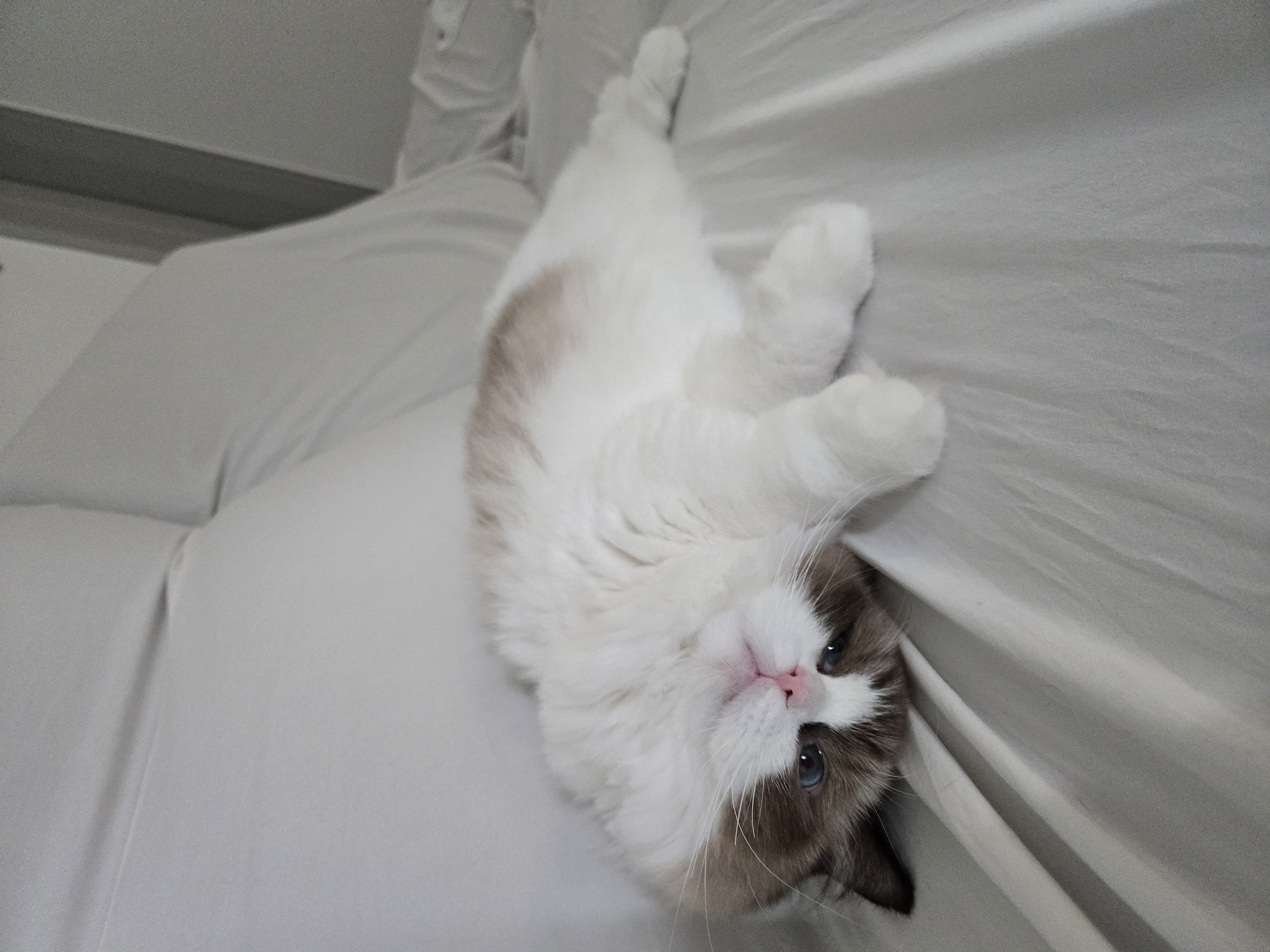 미야오(마시) 우리는 가족 : 3개월 차