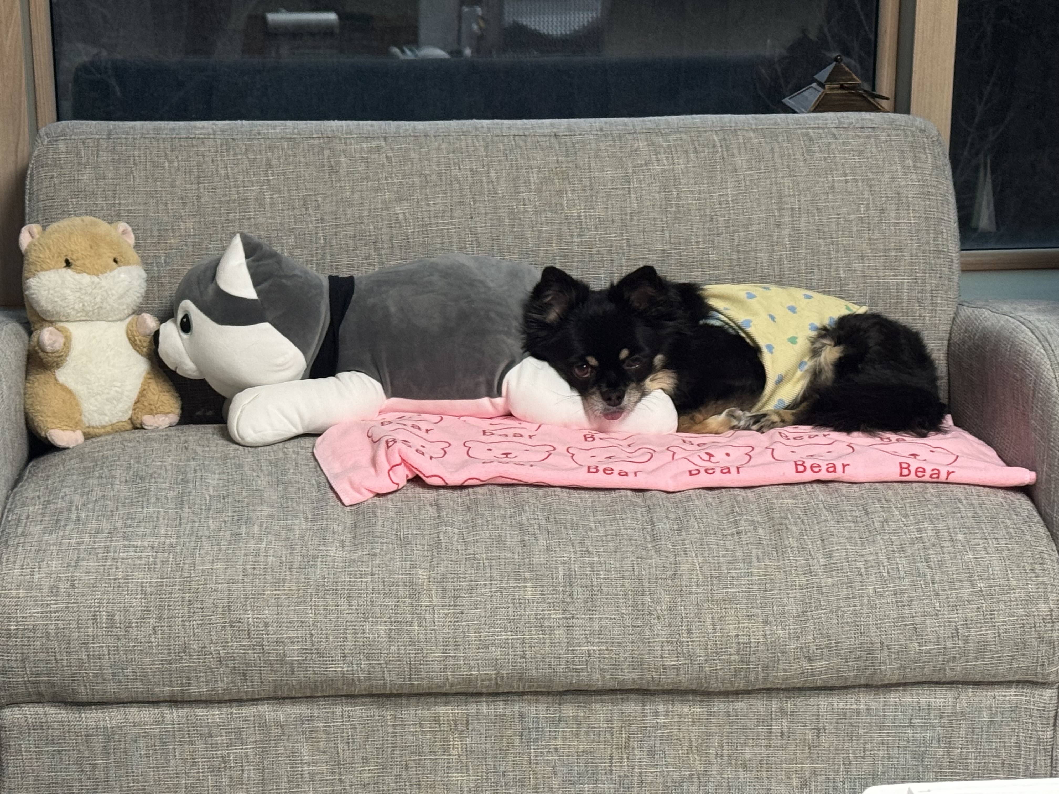 랩몬 소식 올려요~^^(임모7개월차)