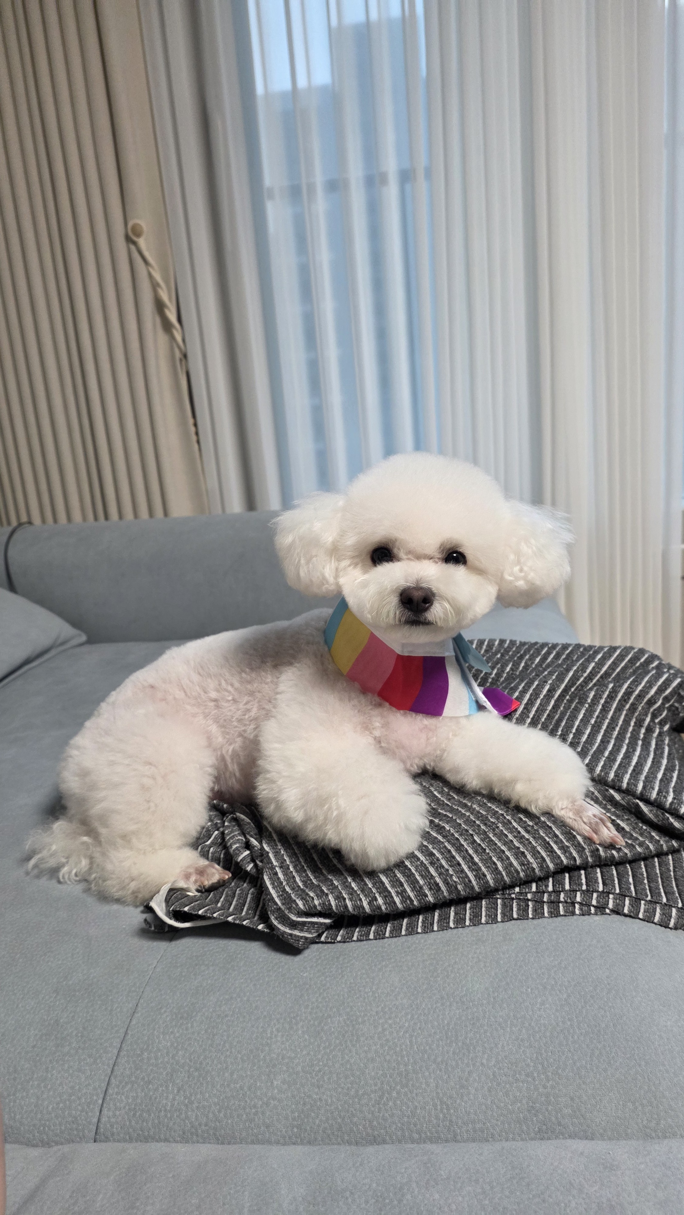 열무(구 아솜이)의 2년 3개월차 이야기