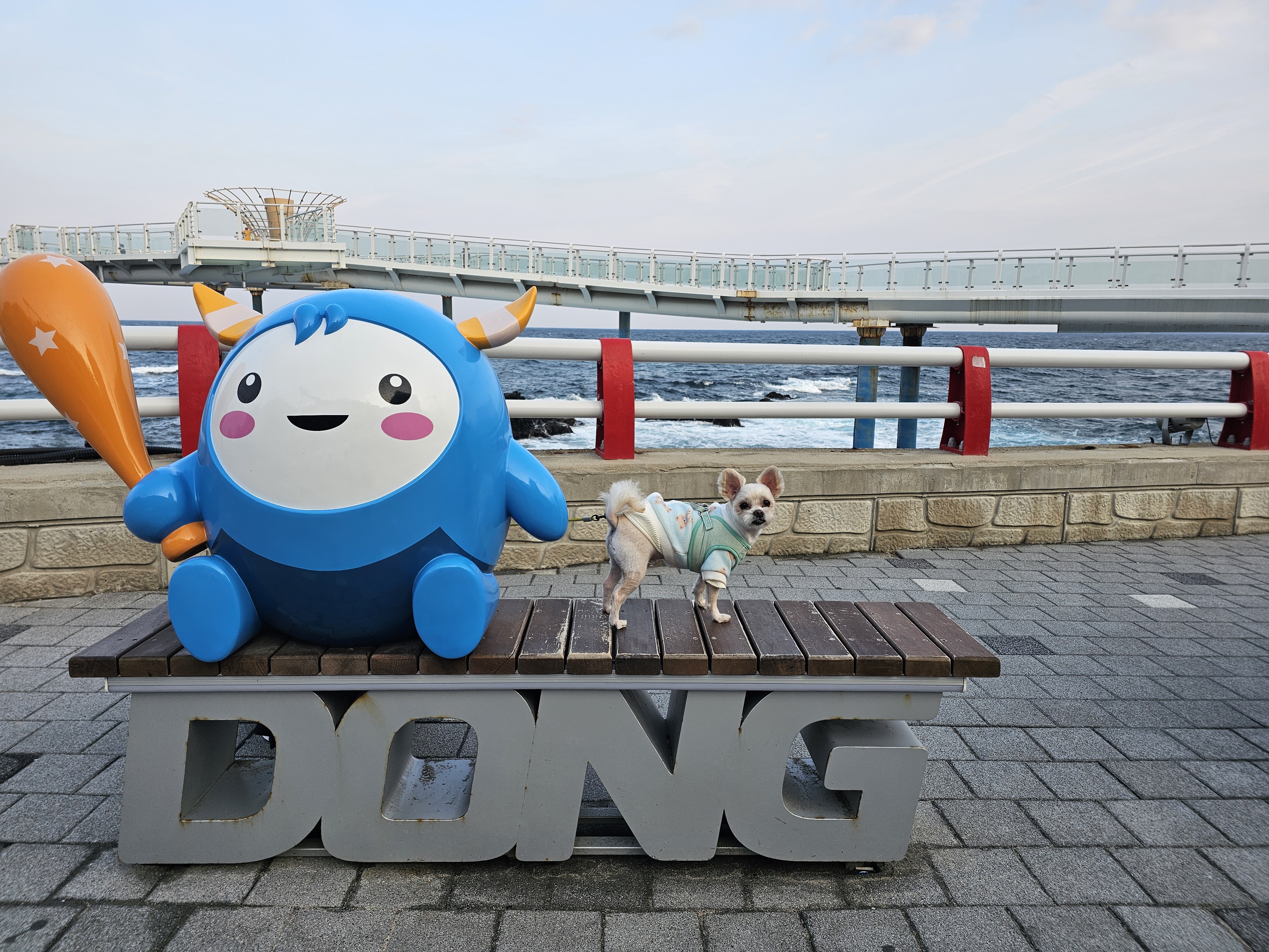 소중한 가족 두식이(구 엘디)3년 후기