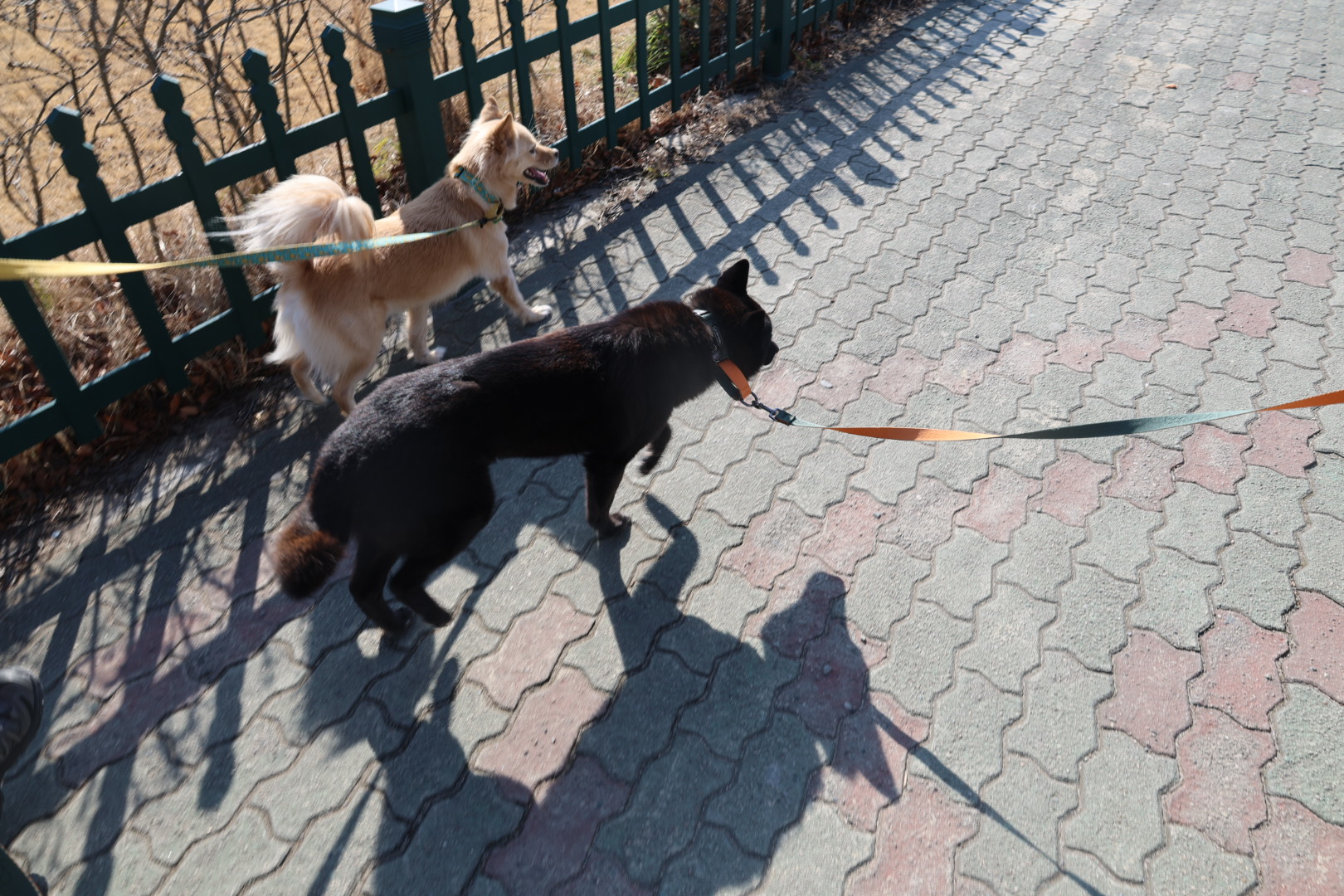 반달이 케일이 경주여행