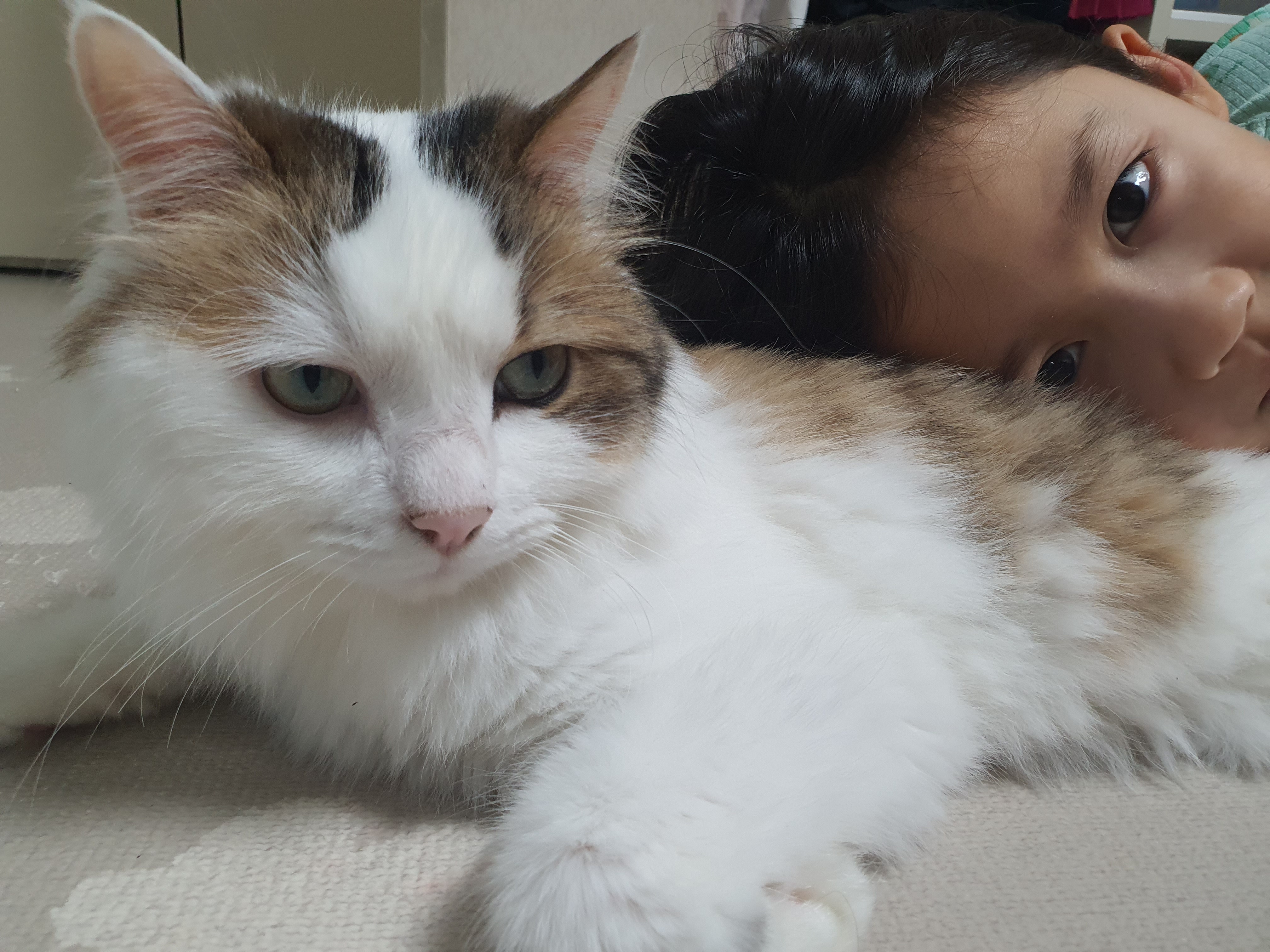 아가(현 에릭)가 벌써 일년이라니요!!