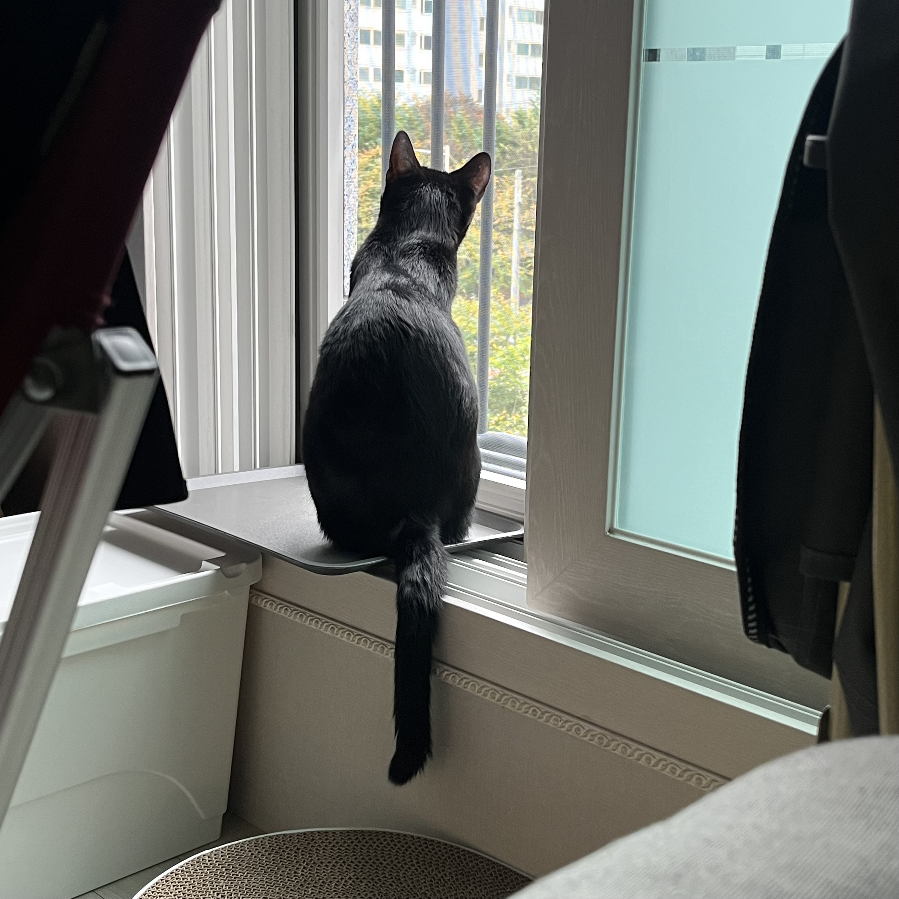 까미 1년차 후기