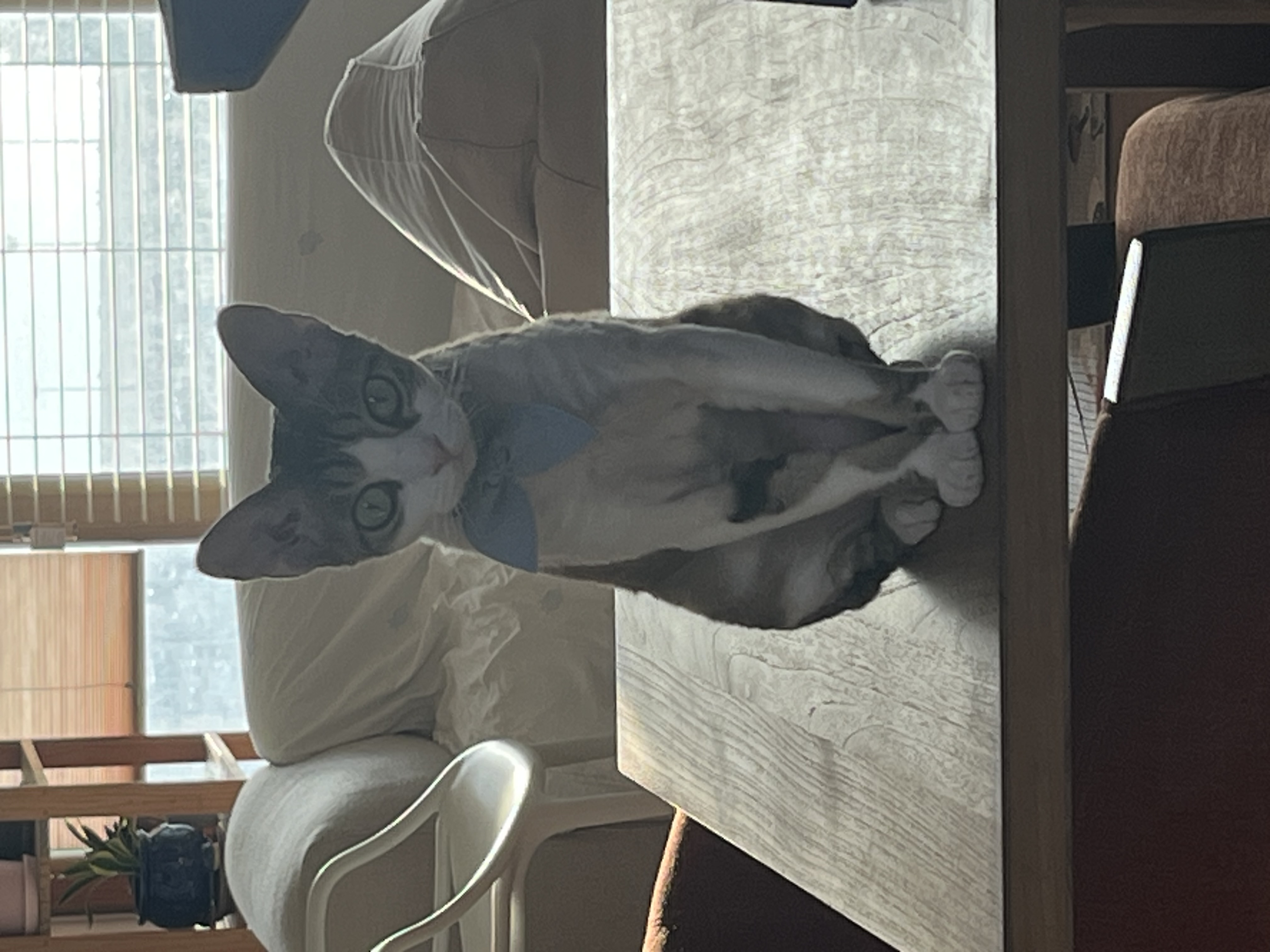 머루(까까)와 함께한 세달