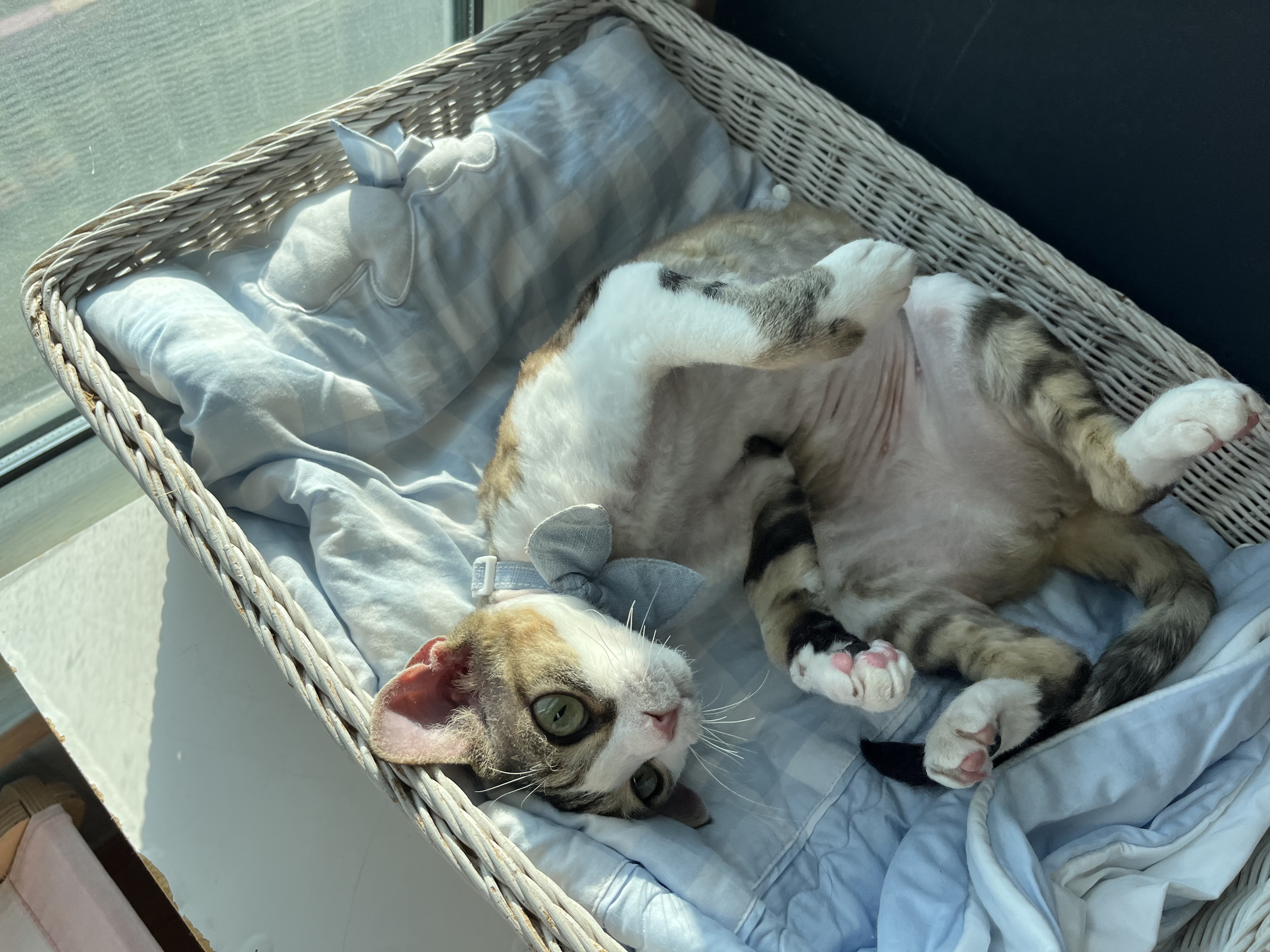 머루(까까)와 함께한 세달