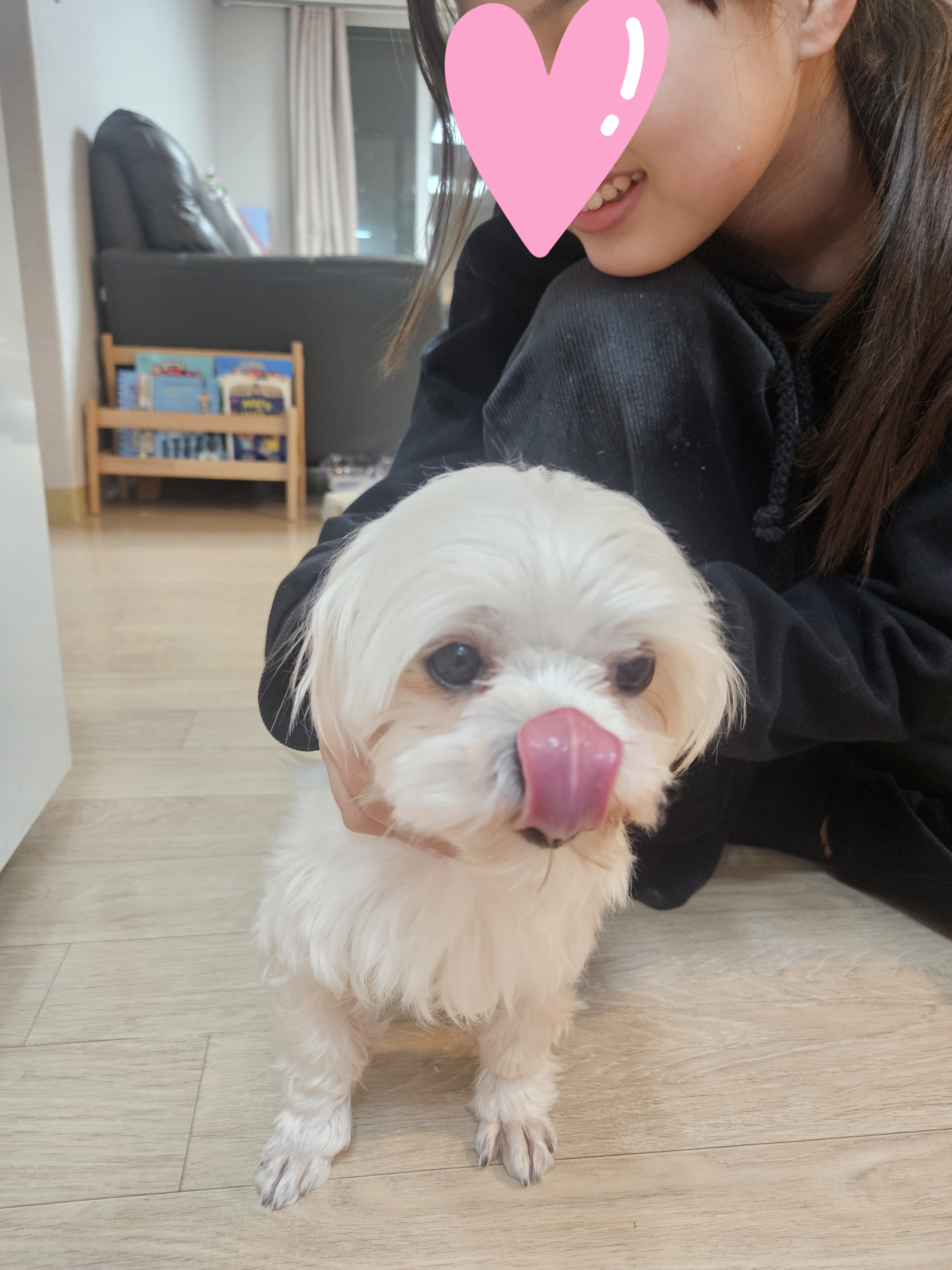 조리 임보 7일차