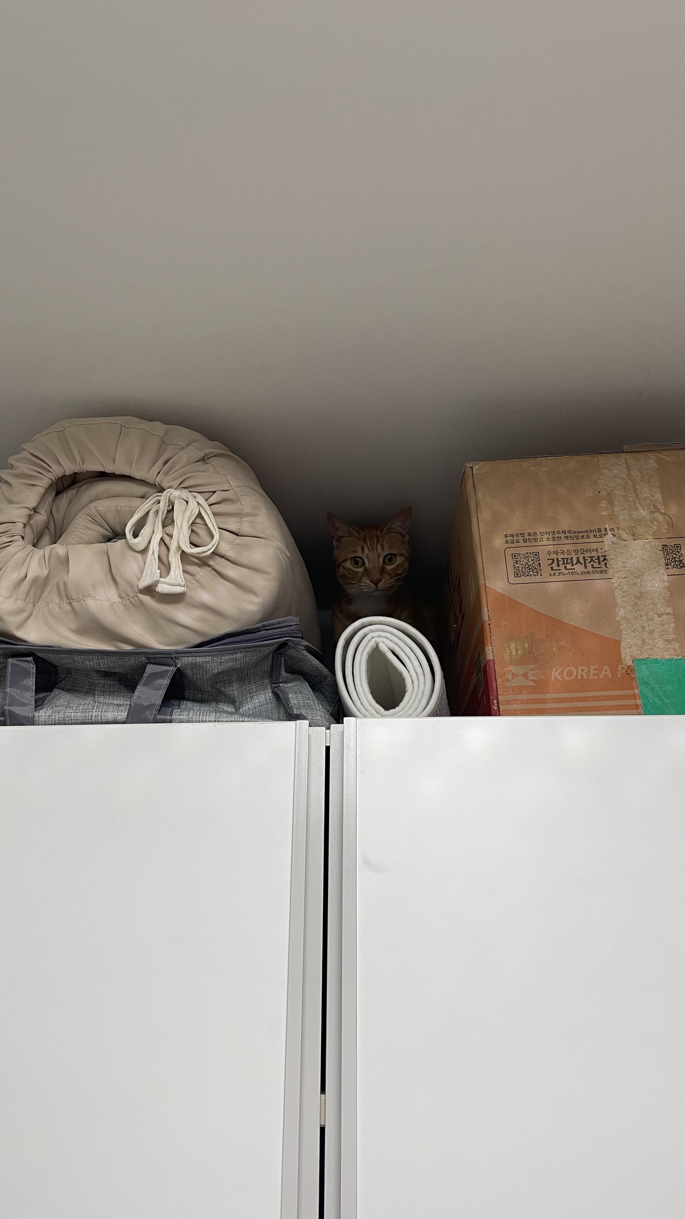 다해(현재 금비) 한달 후기