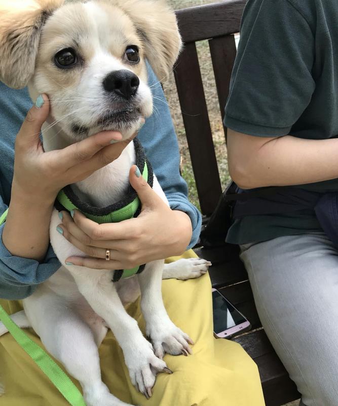 삼봉이(삼시세끼 사피~)의 즐거운 선유도산책