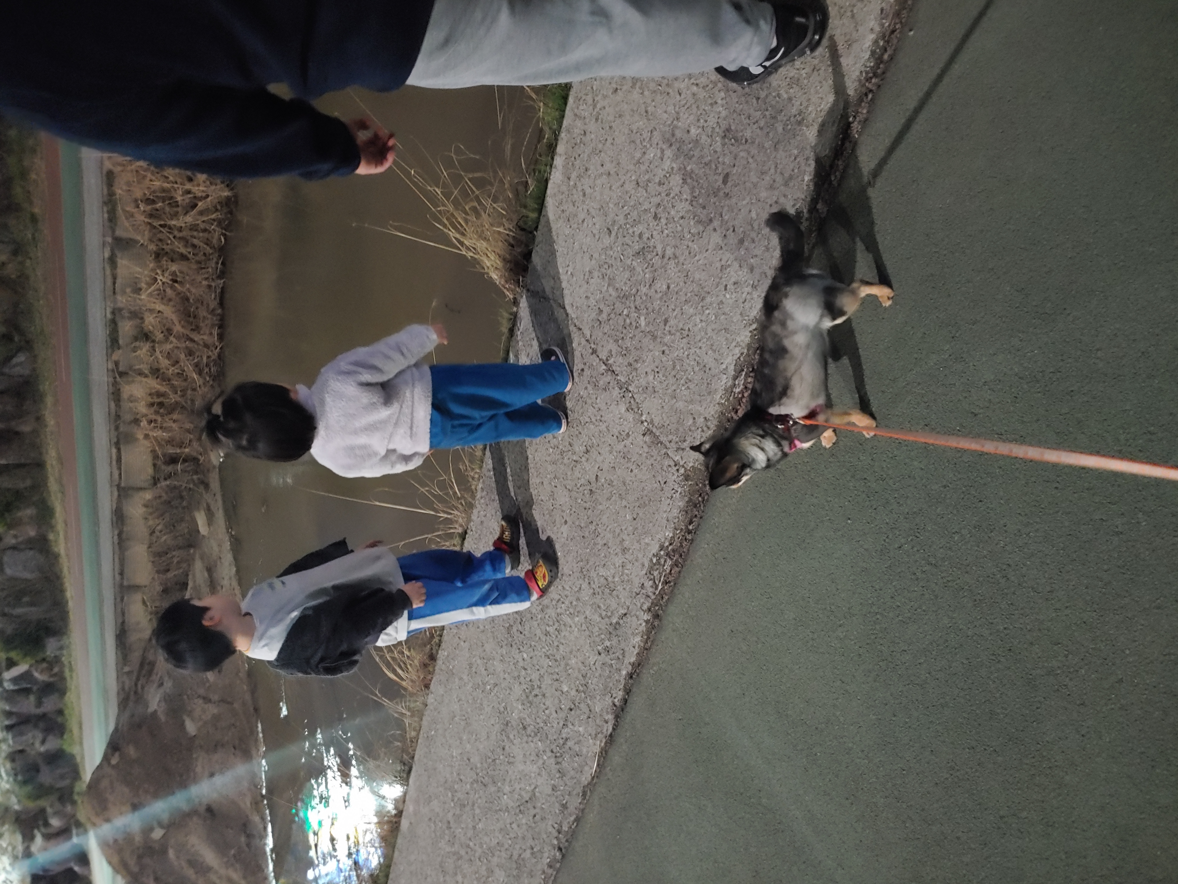 행복이가 온지 벌써 1년