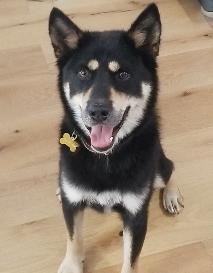 [해외입양] 캐나다 밴쿠버에서 가족을 만난 제임스