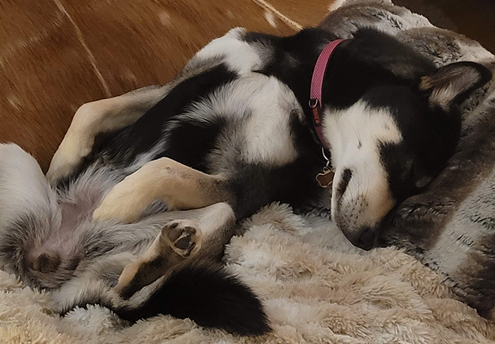 [해외입양] 슬이는 저희 삶의 빛과 같은 아이에요